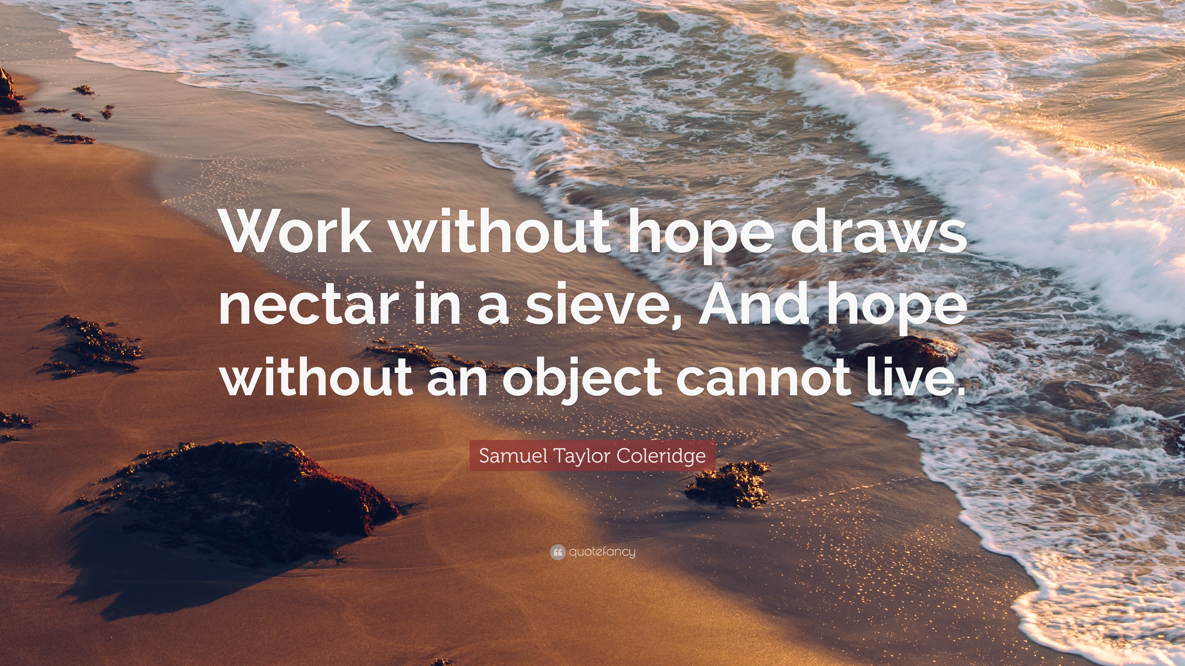 Samuel Taylor Coleridge Quote: “Work without hope draws nectar in a sieve, And hope ...3840 x 2160
