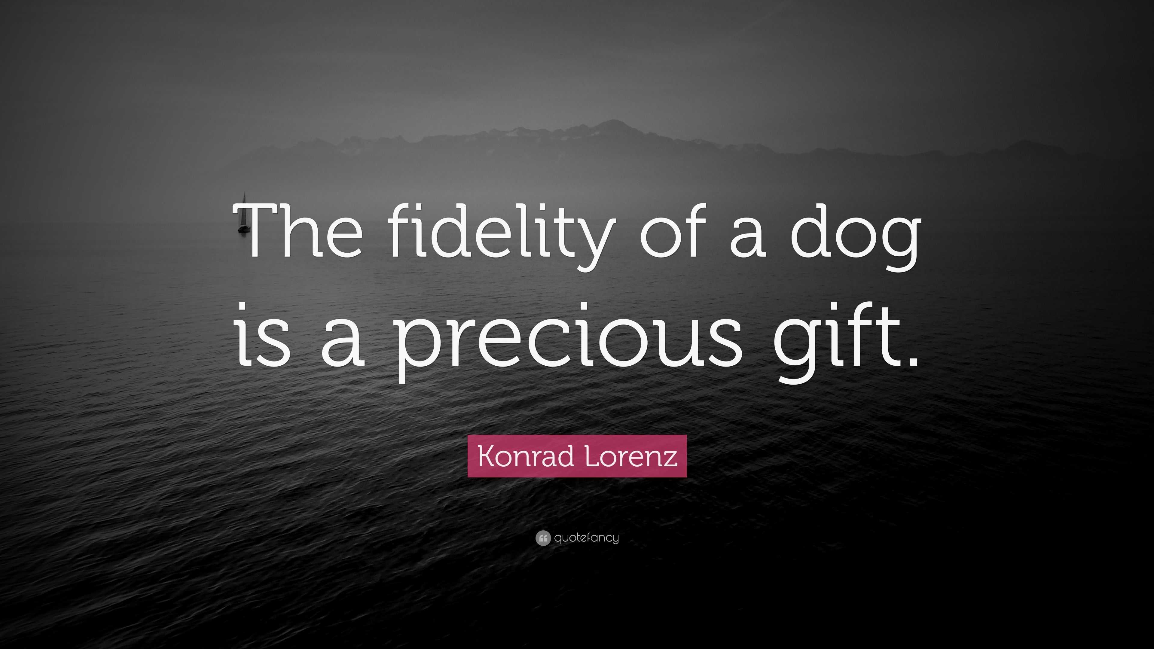 Konrad Lorenz Quote: “The fidelity of a dog is a precious gift.”