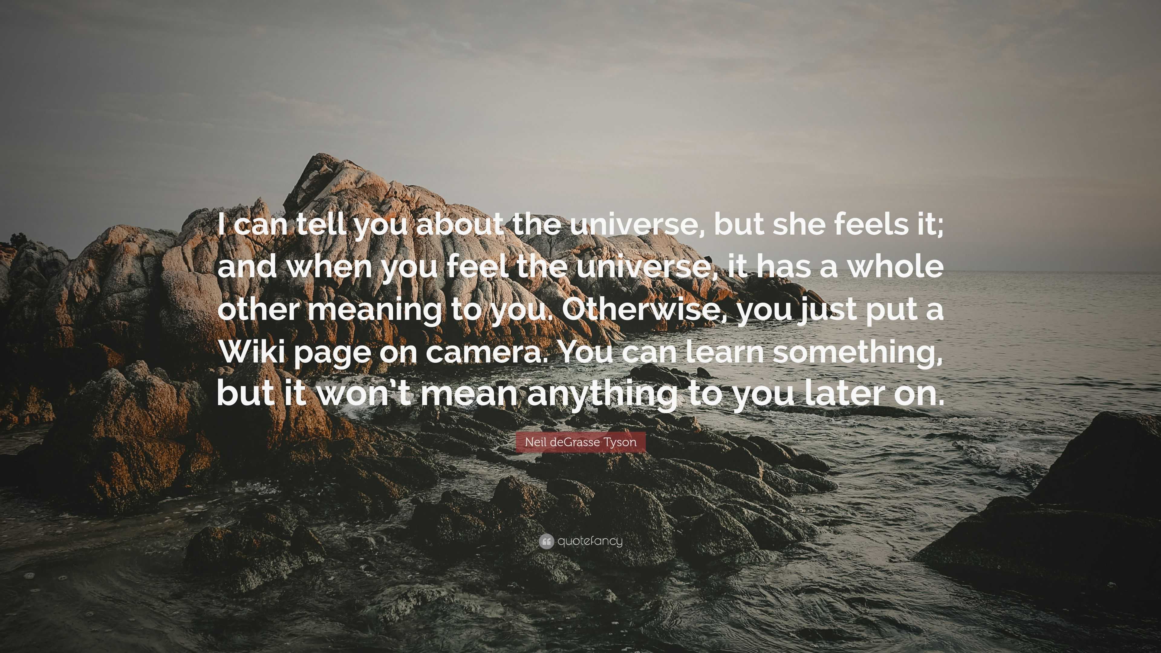 Neil deGrasse Tyson Quote: “I can tell you about the universe, but she ...