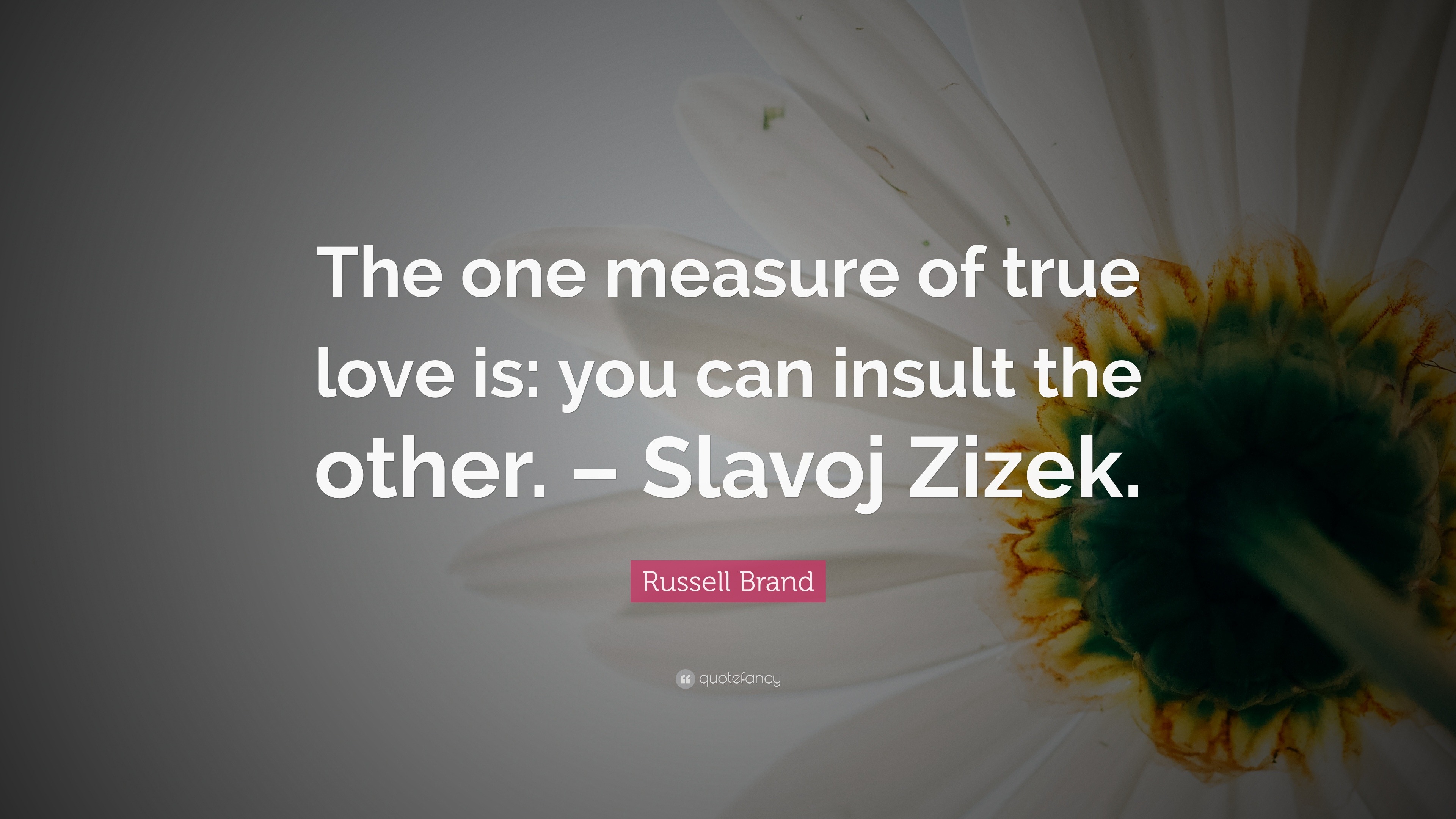 Russell Brand Quote: “The One Measure Of True Love Is: You Can Insult The Other. – Slavoj