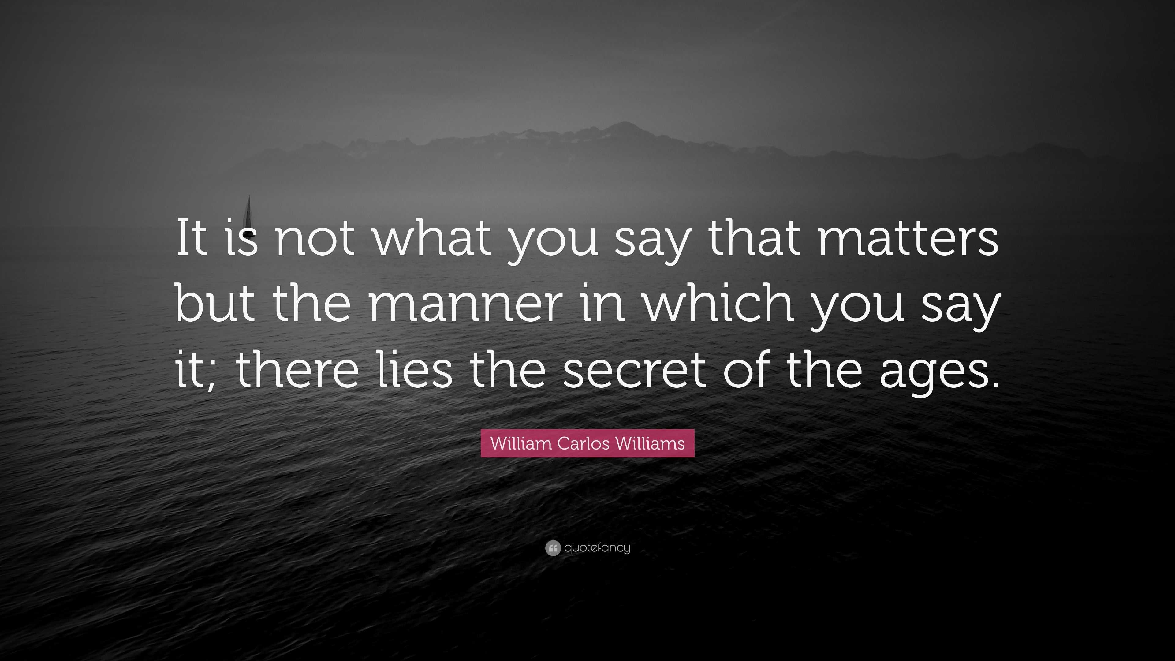 William Carlos Williams Quote: “It is not what you say that matters but ...