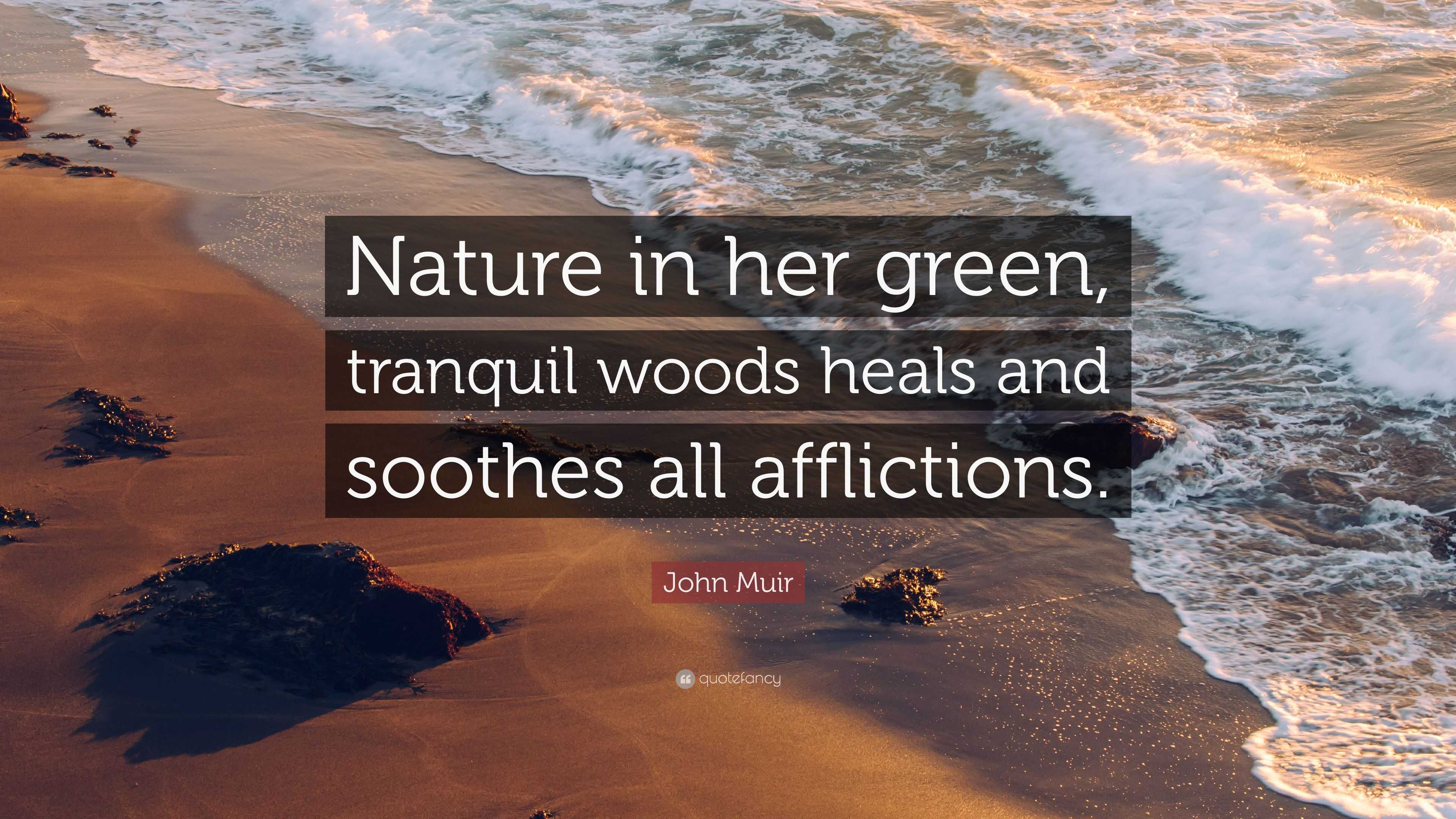 John Muir Quote “Nature in her green, tranquil woods heals and soothes