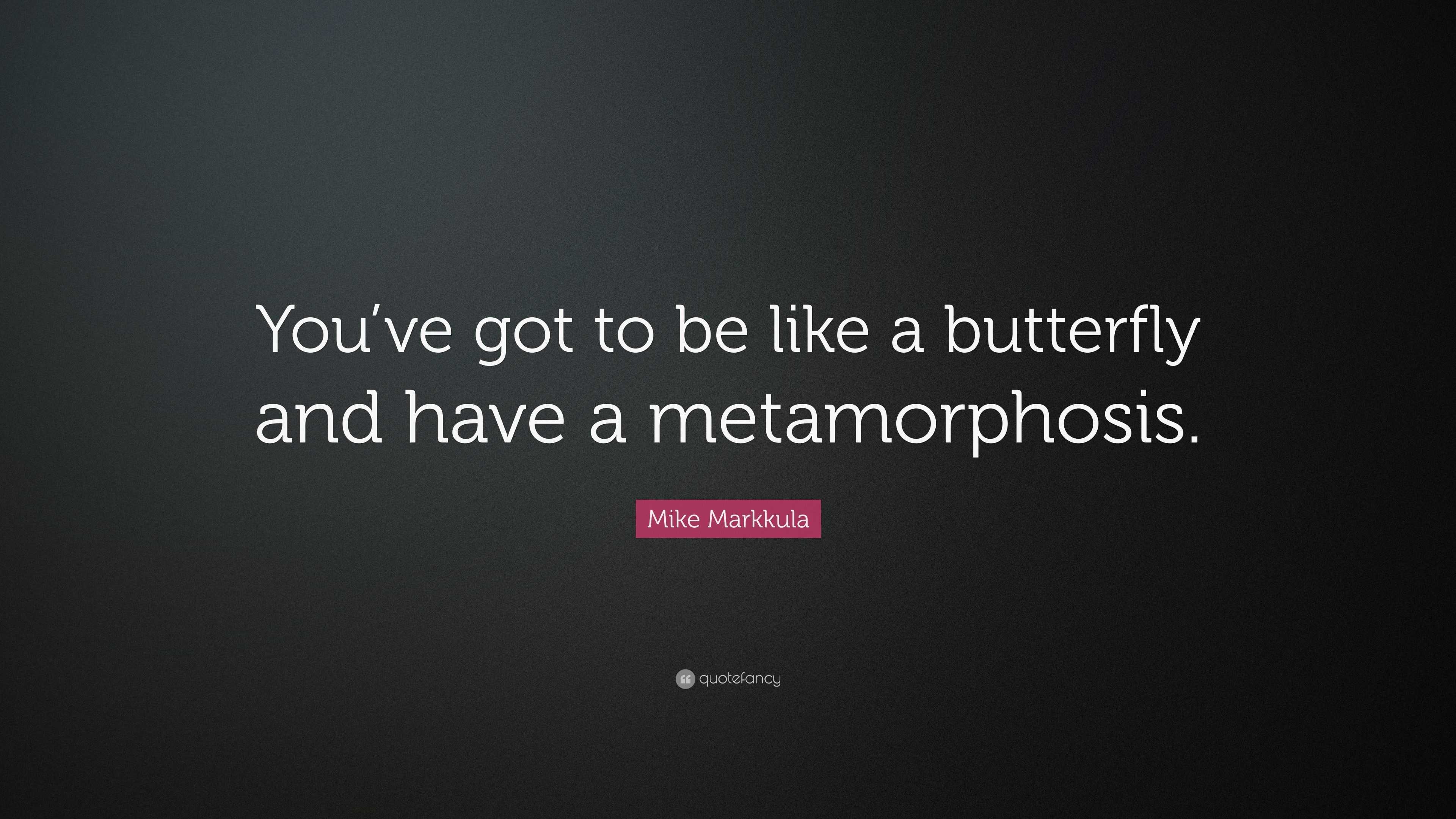 Mike Markkula Quote: “You’ve got to be like a butterfly and have a ...