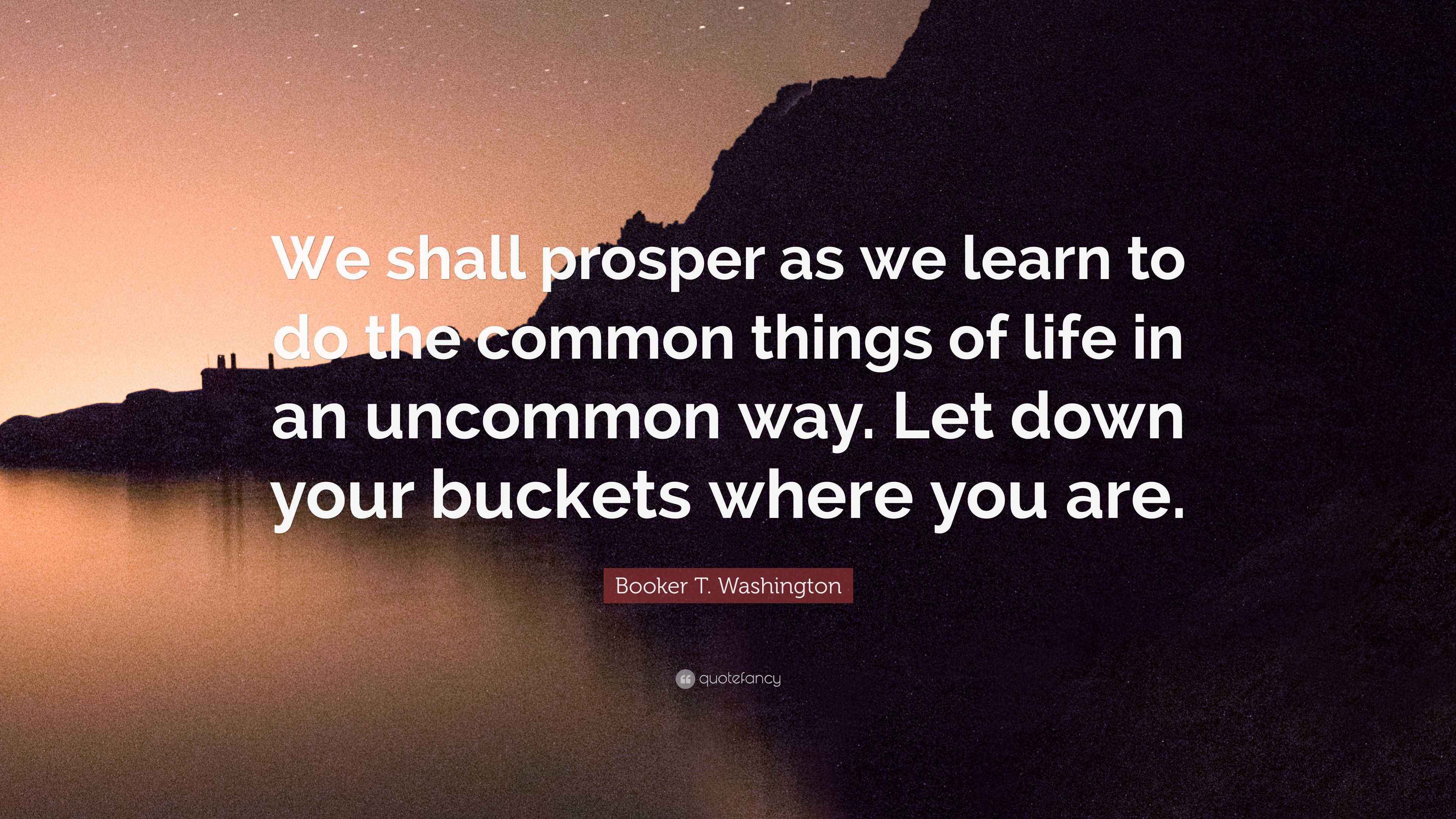 Booker T. Washington Quote “We shall prosper as we learn to do the