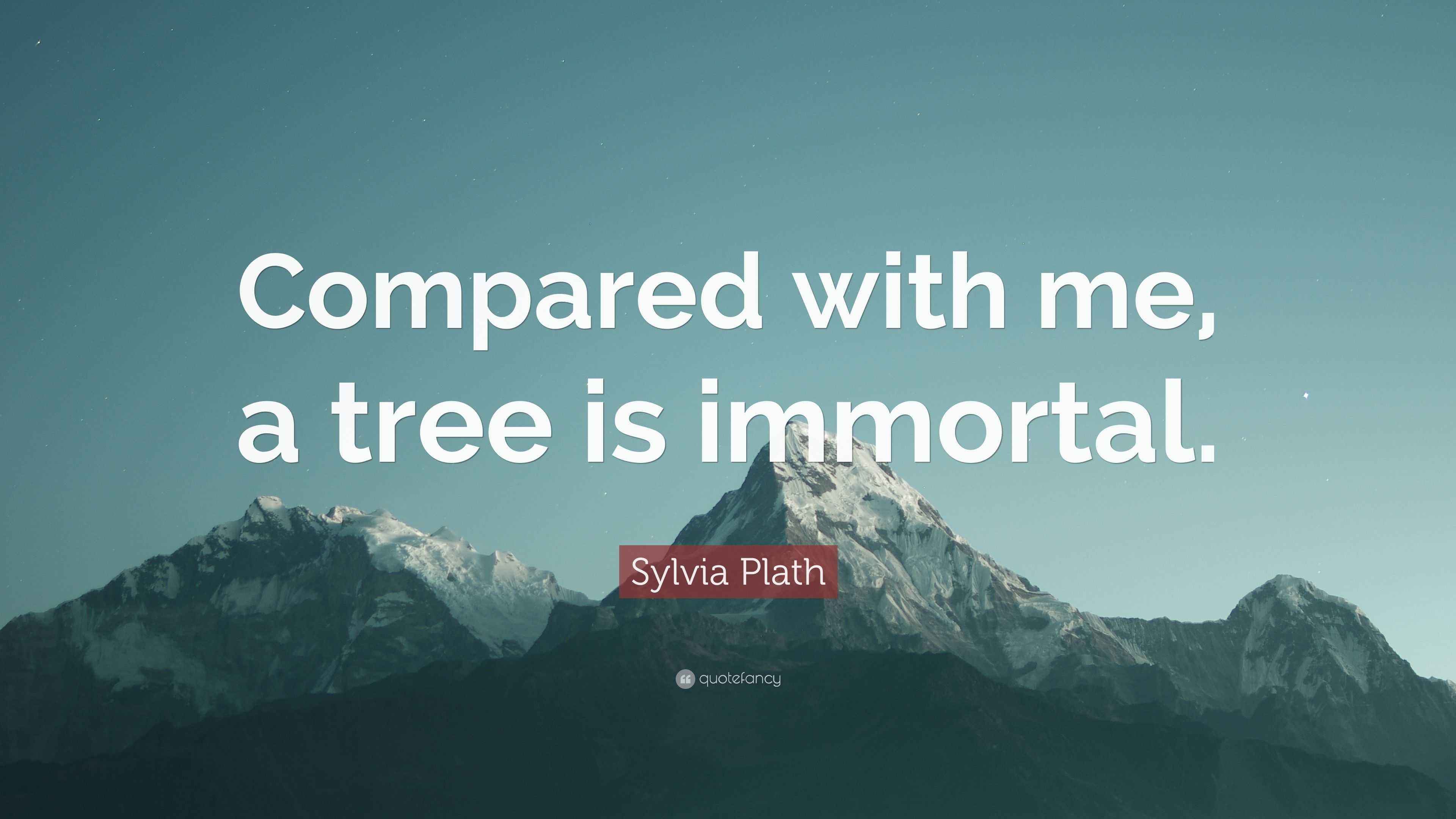 Sylvia Plath Quote: "Compared with me, a tree is immortal."