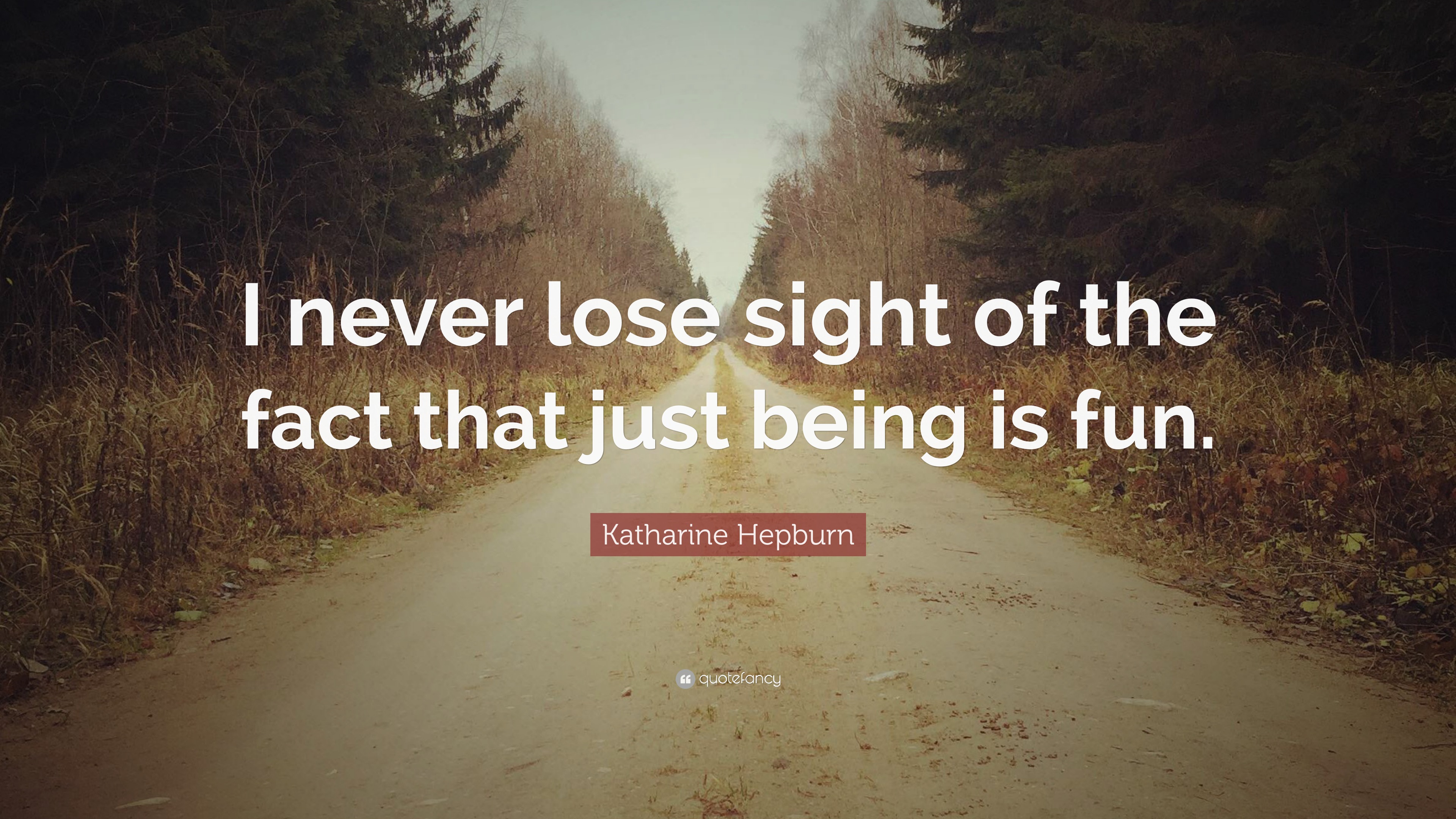 Katharine Hepburn Quote “I never lose sight of the fact that just