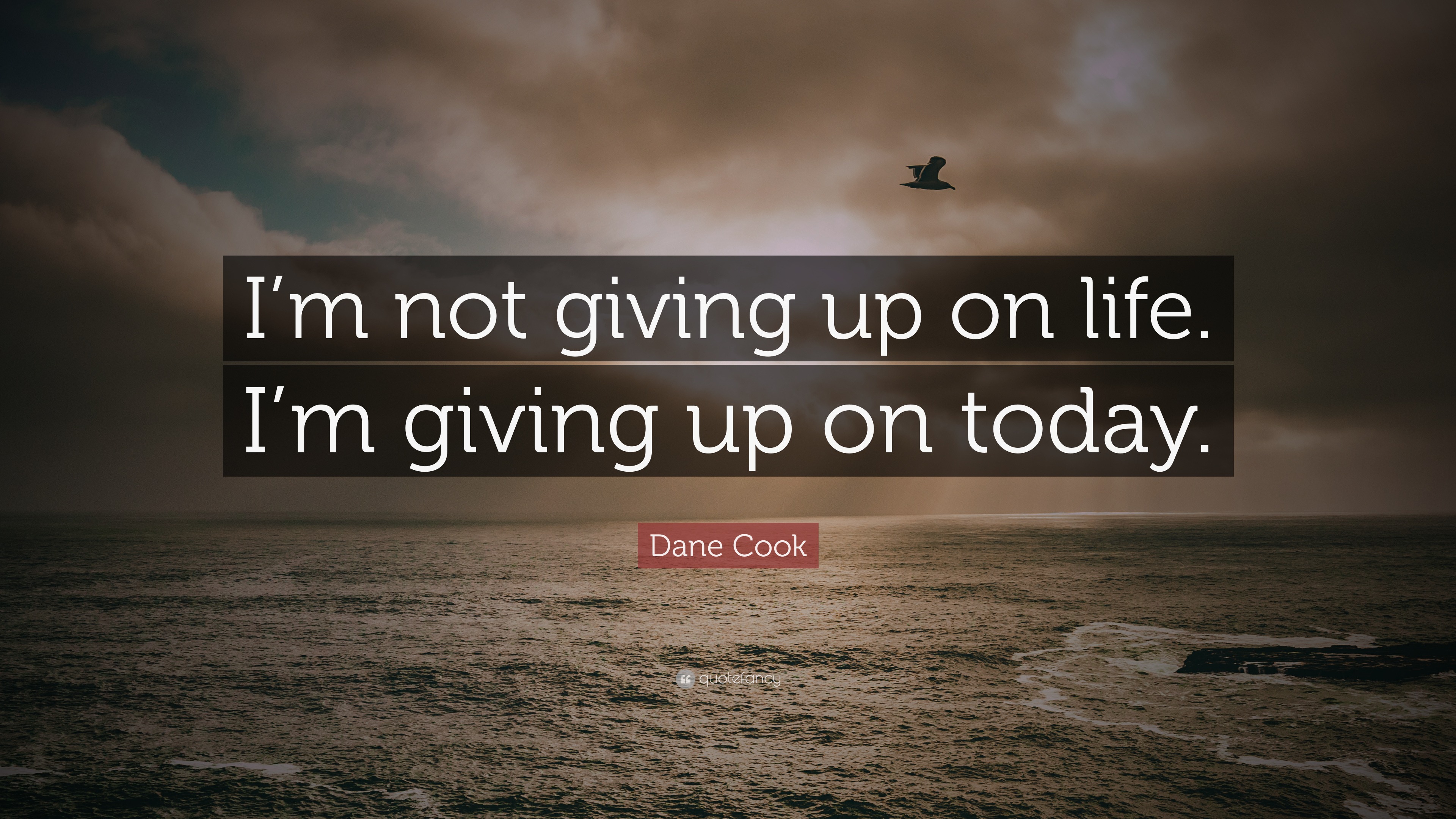Dane Cook Quote “I’m not giving up on life. I’m giving up