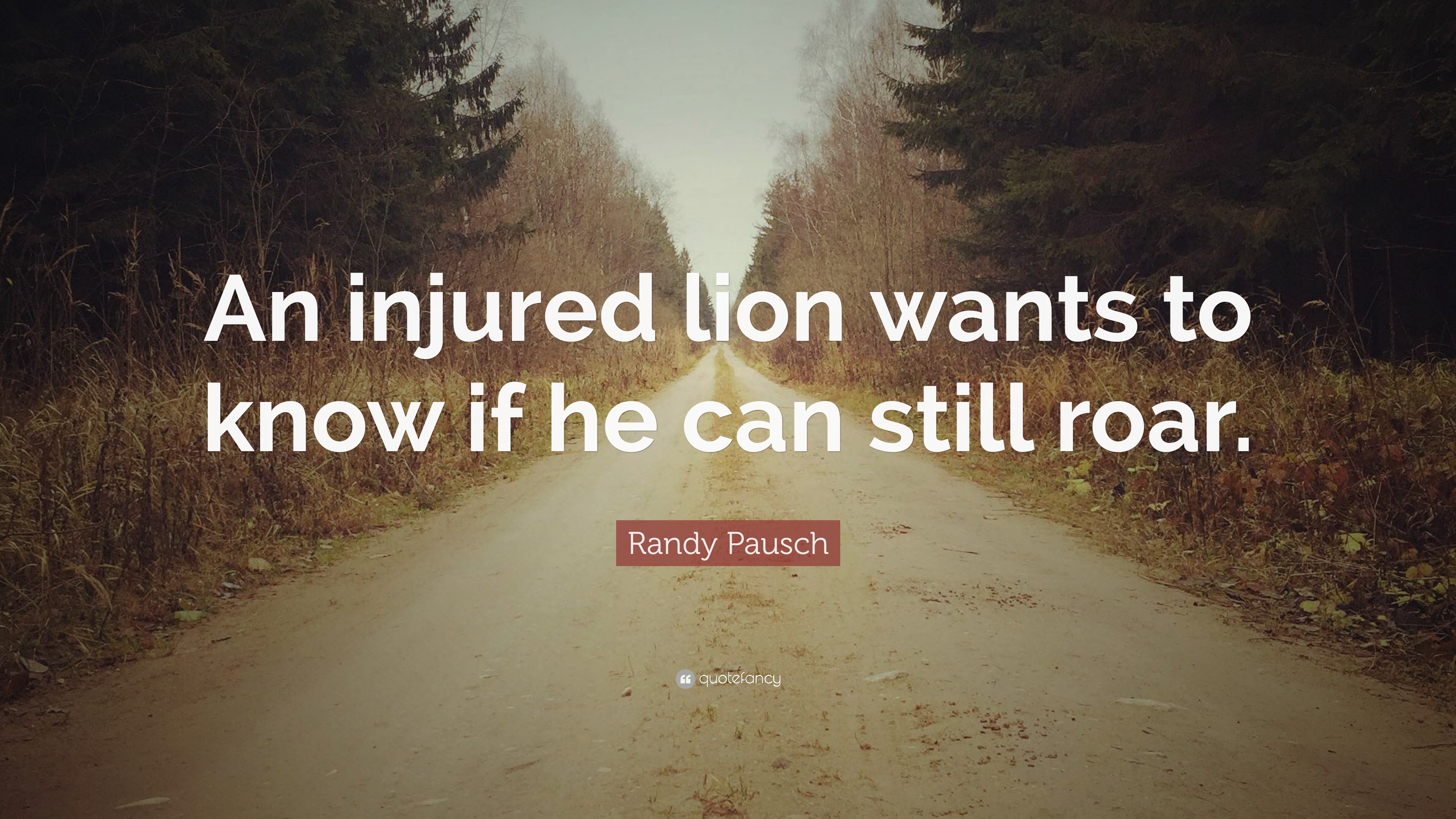 Randy Pausch Quote: “An injured lion wants to know if he can still roar.”