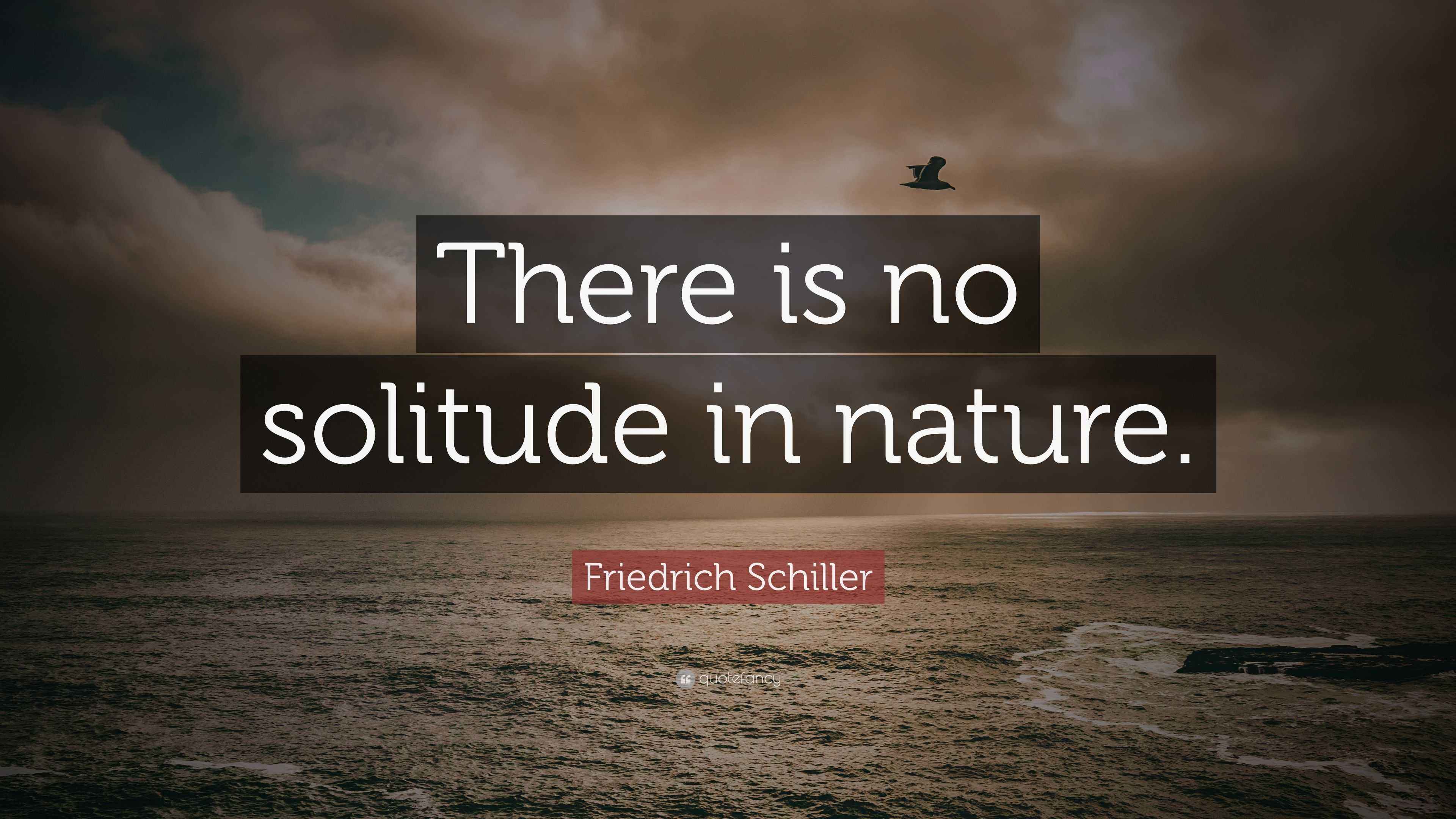 Friedrich Schiller Quote “There is no solitude in nature.”