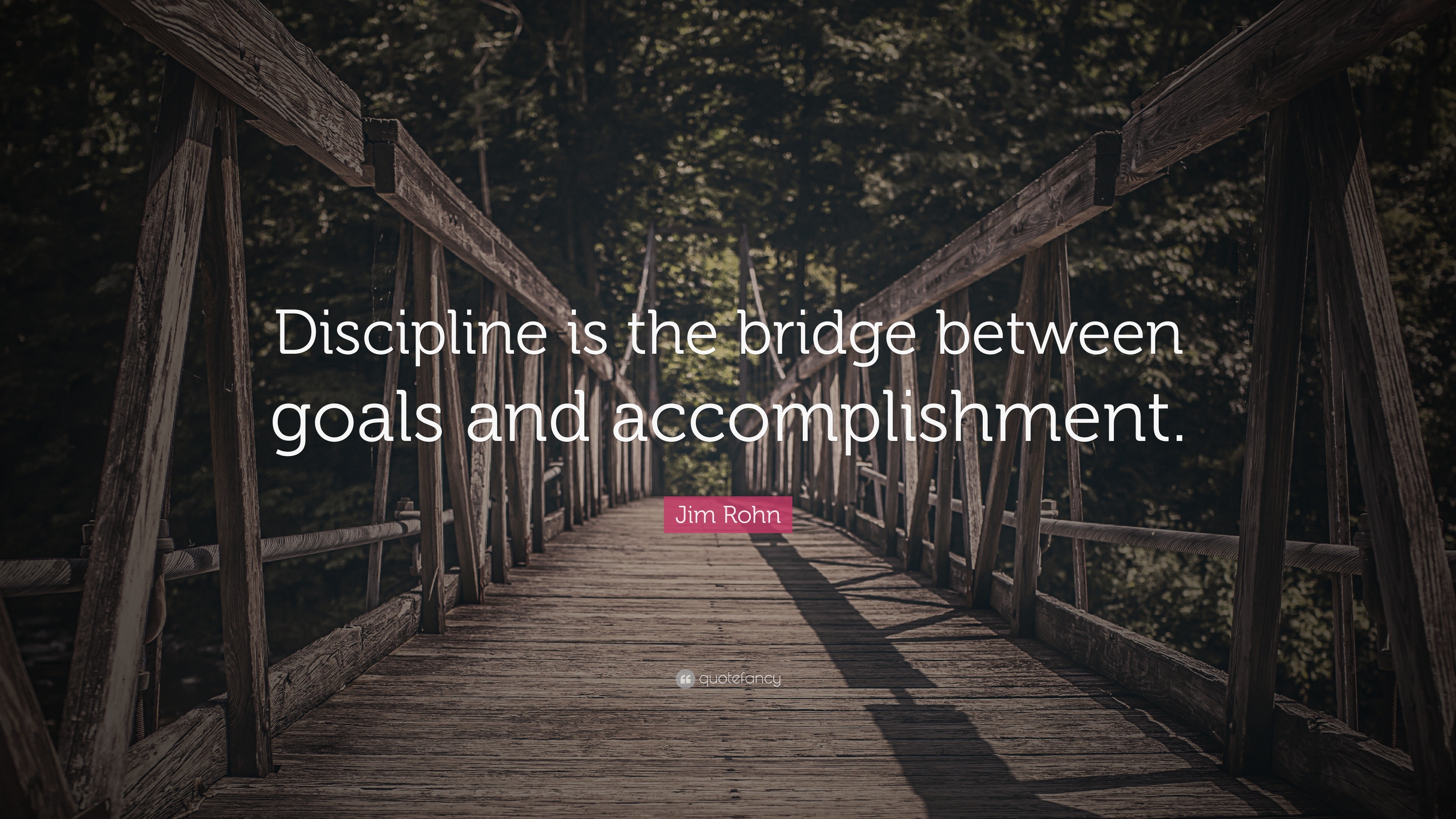 Image result for discipline is the bridge between goals and
