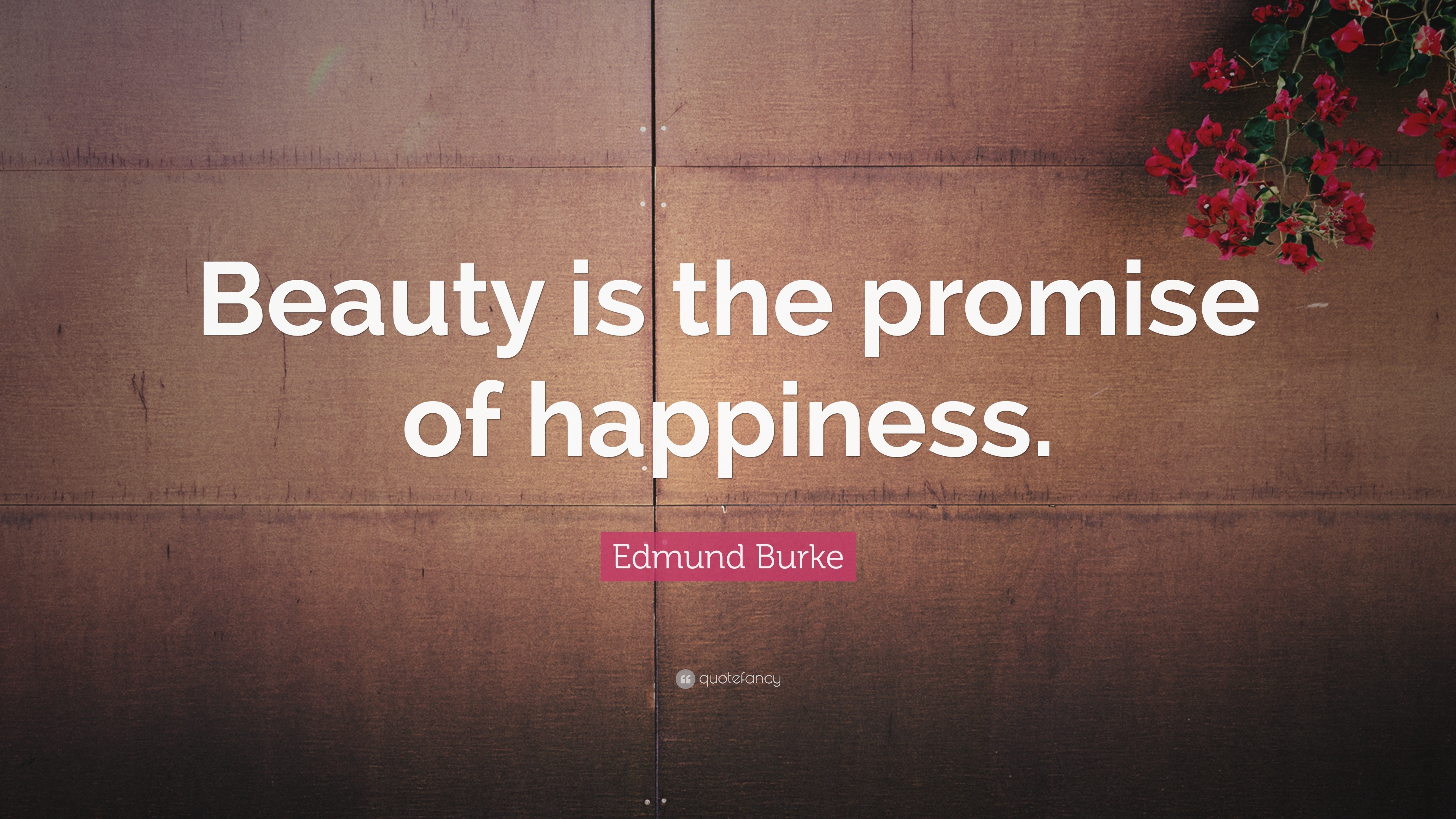 Edmund Burke Quote: “Beauty is the promise of happiness.”