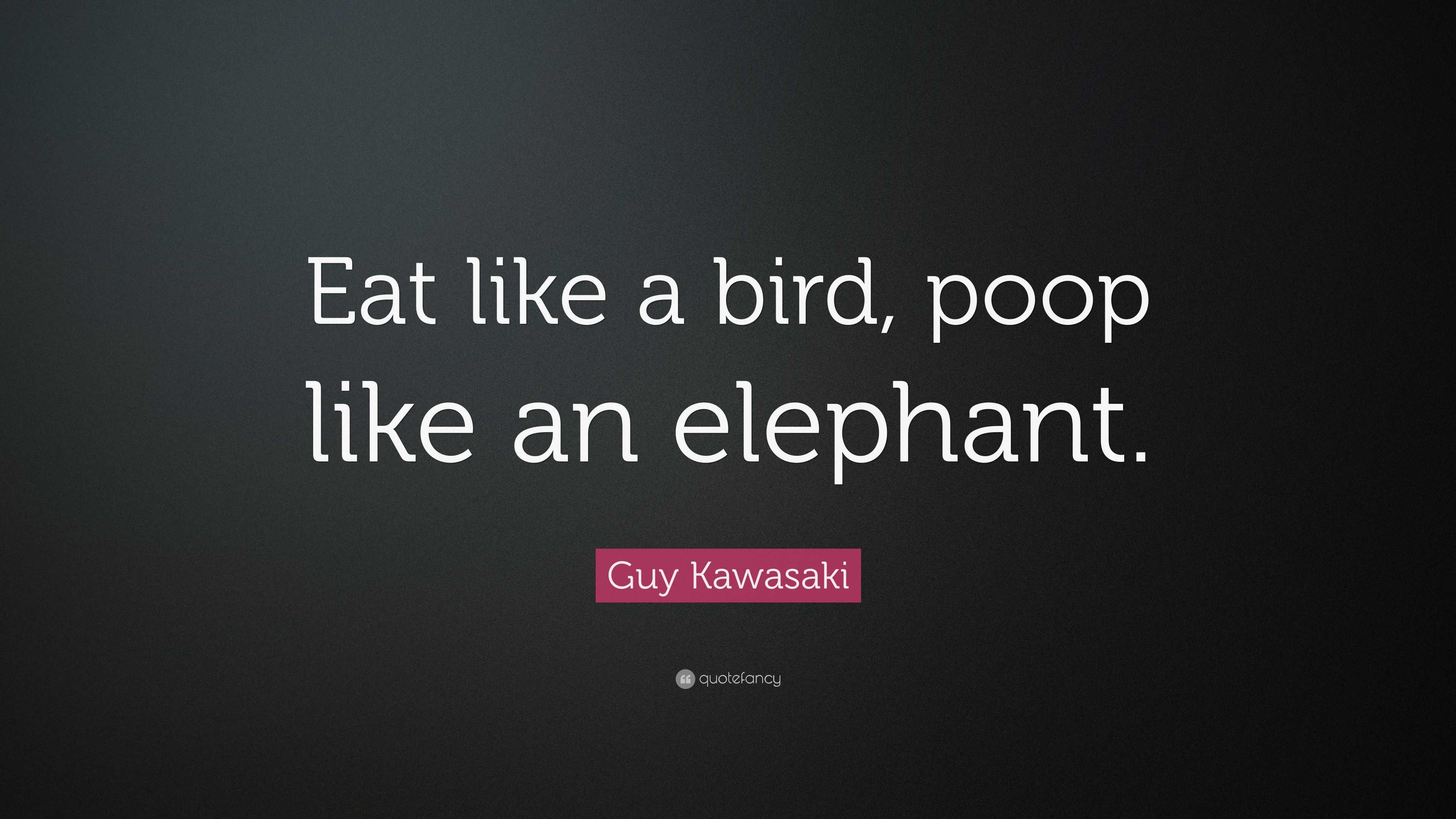 Guy Kawasaki Quote “Eat like a bird, poop like an elephant.”