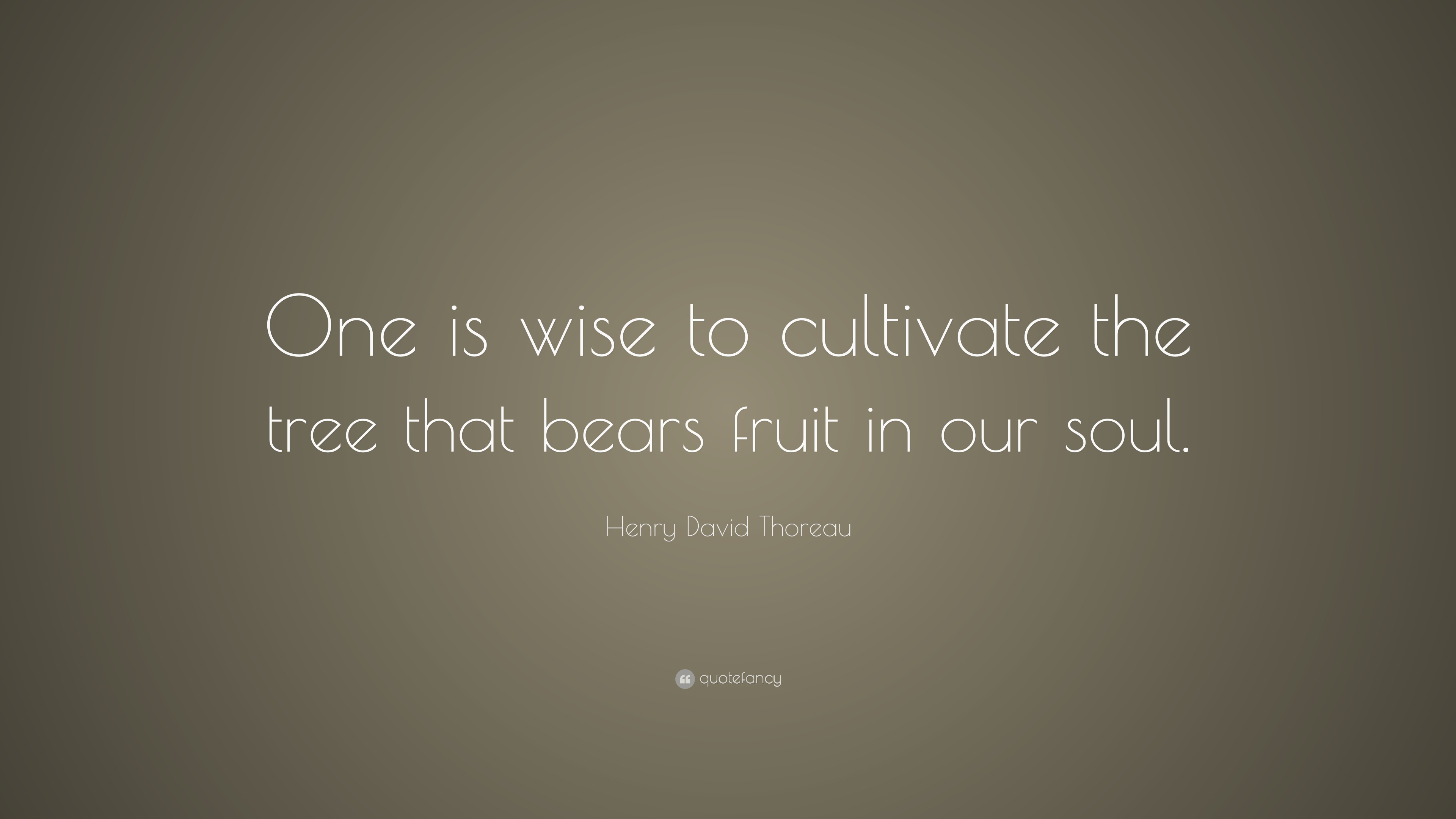 Henry David Thoreau Quote: “One is wise to cultivate the tree that ...