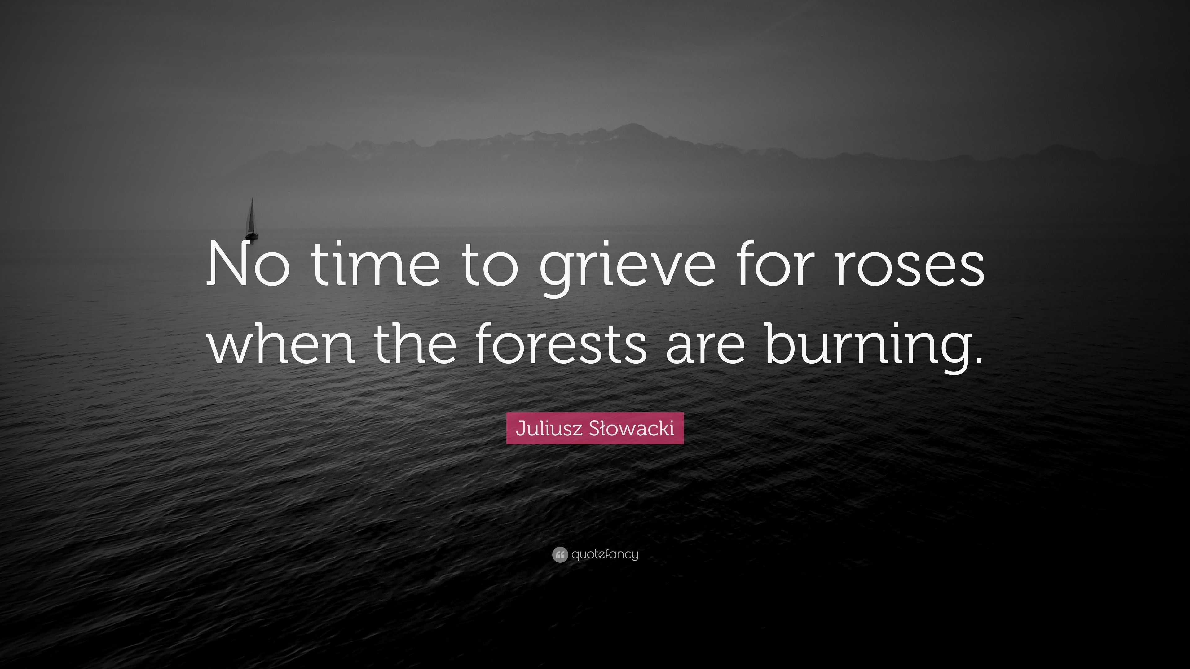 Juliusz Słowacki Quote “No time to grieve for roses when the forests