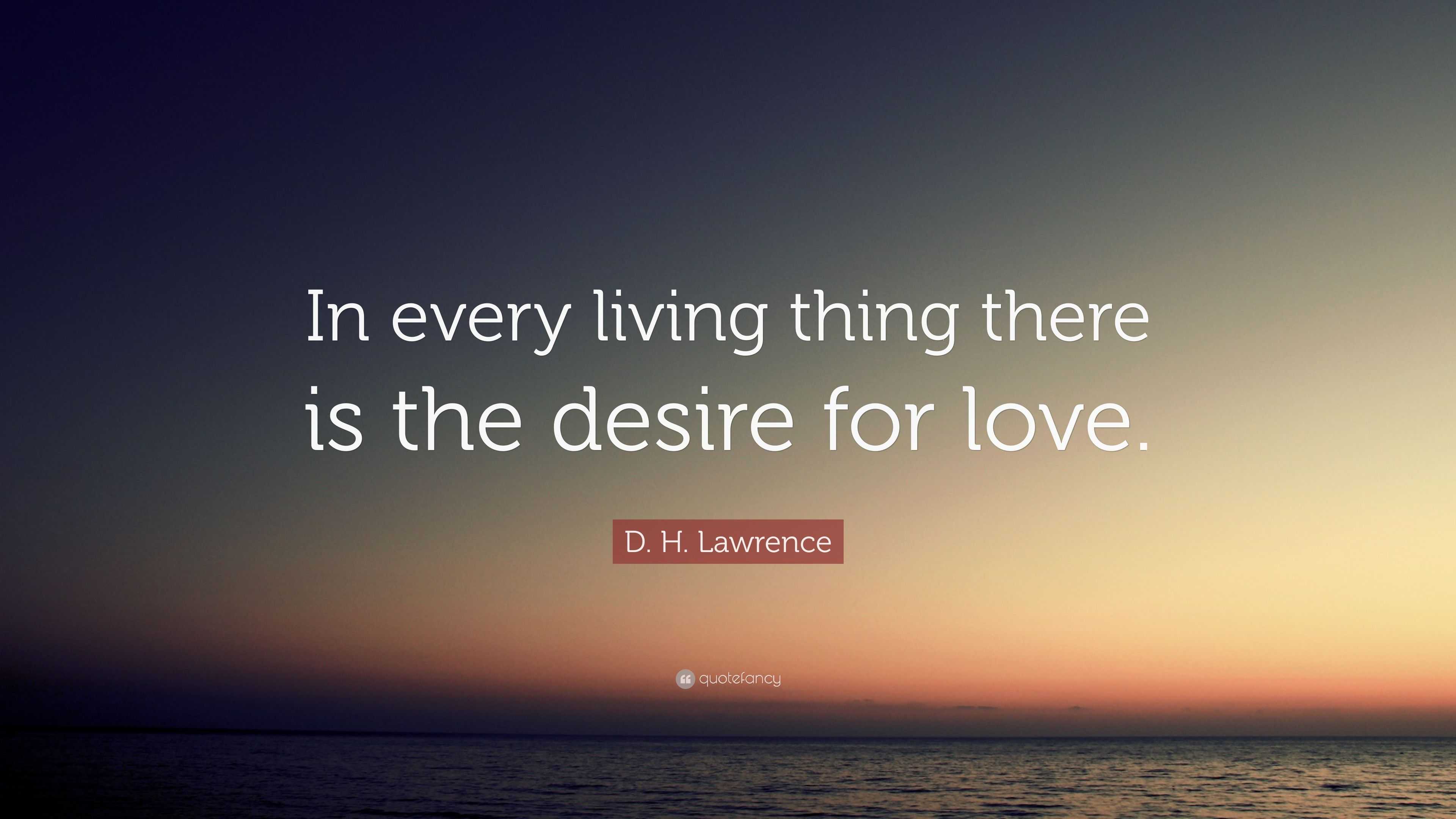 D. H. Lawrence Quote: “In every living thing there is the desire for love.”