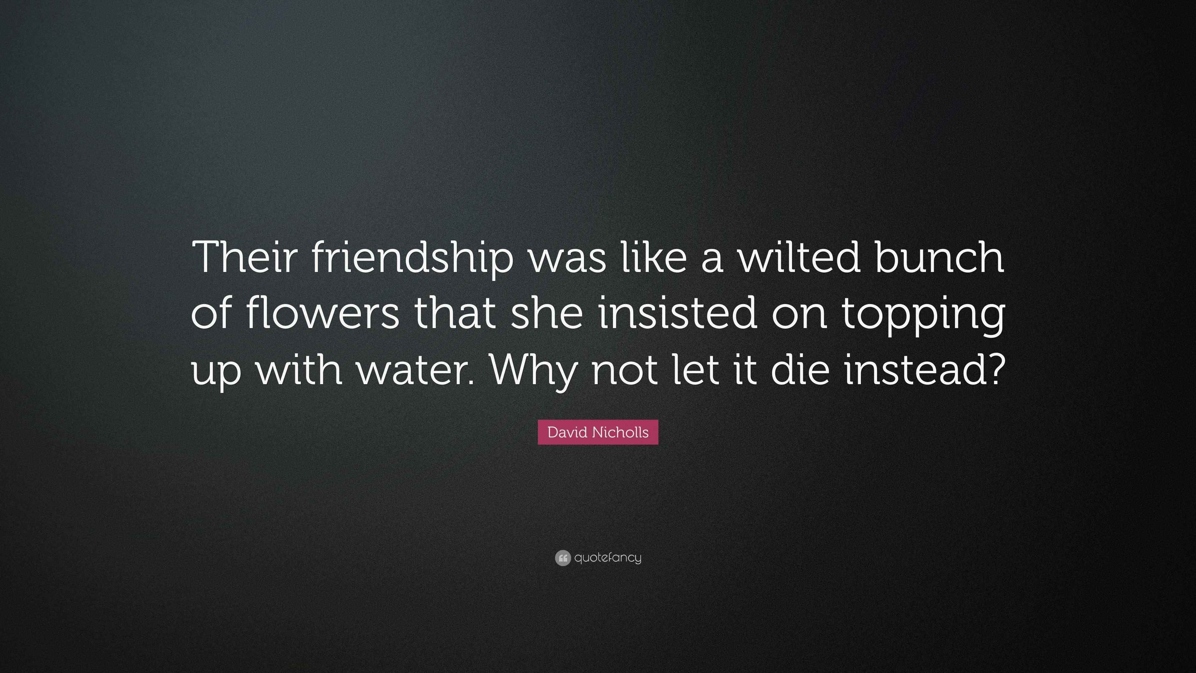 David Nicholls Quote “Their friendship was like a wilted bunch of