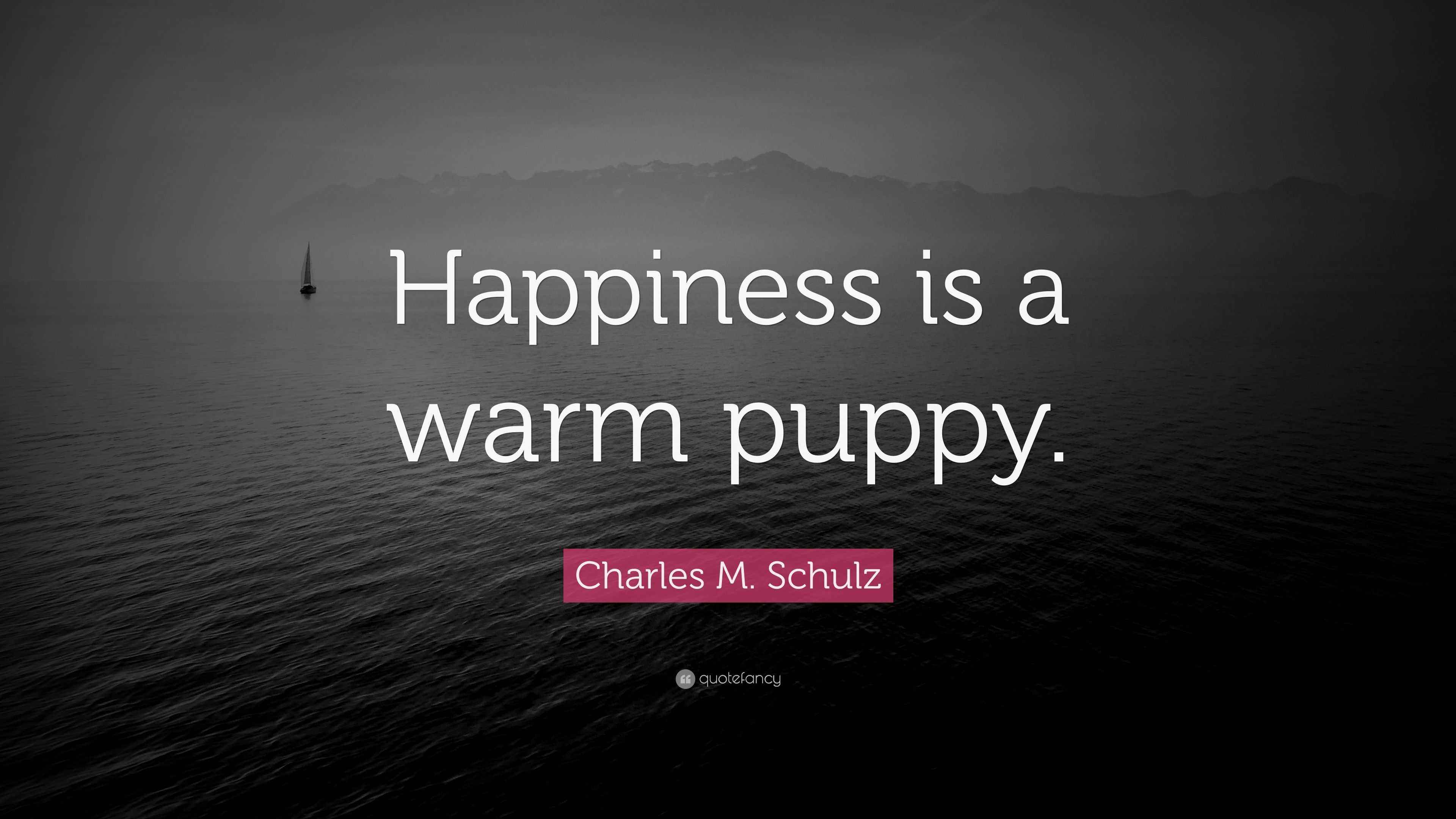 Charles m schulz quote happiness is a warm puppy 
