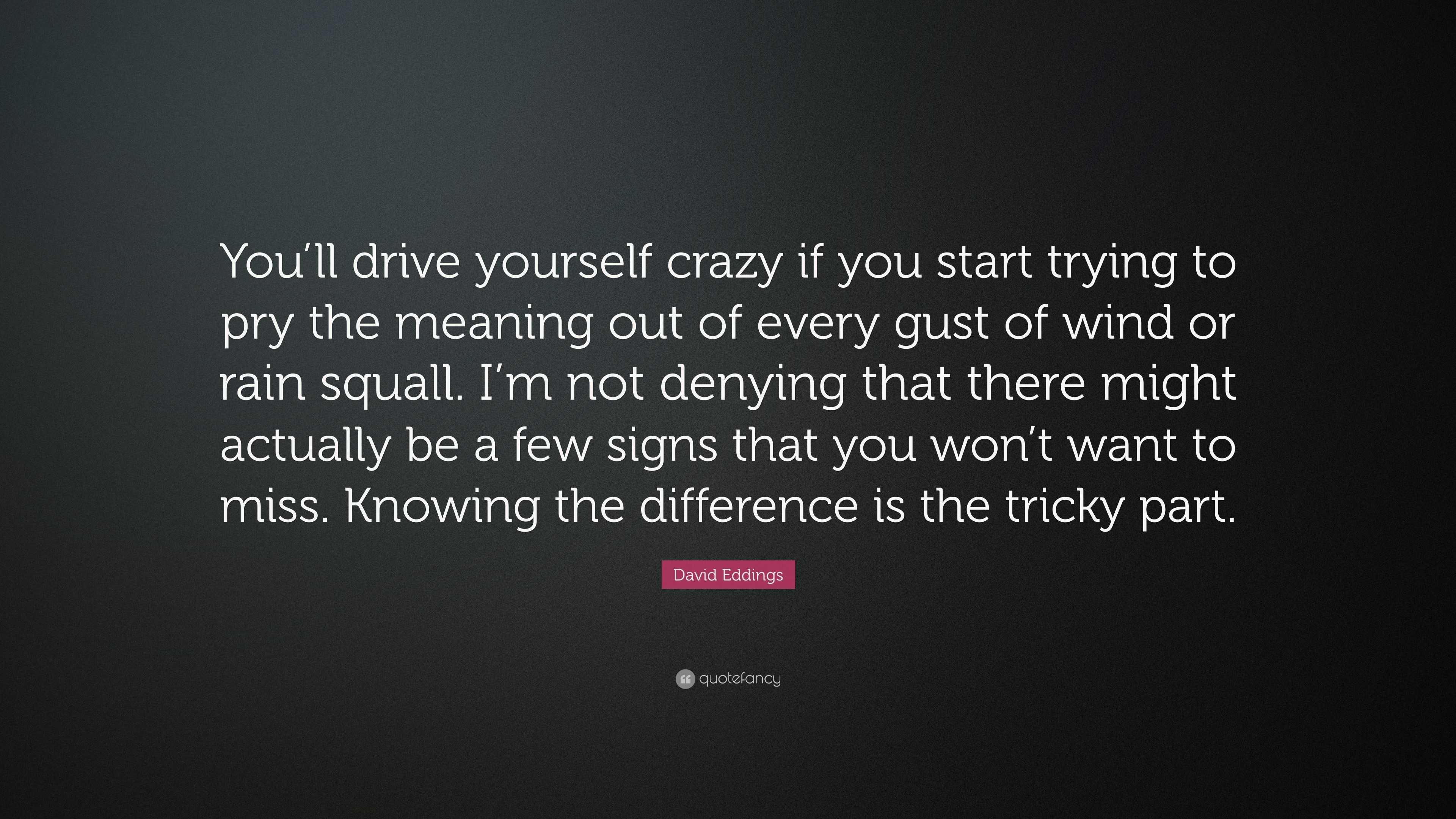 David Eddings Quote You Ll Drive Yourself Crazy If You Start Trying To Pry The Meaning Out Of Every Gust Of Wind Or Rain Squall I M Not Den