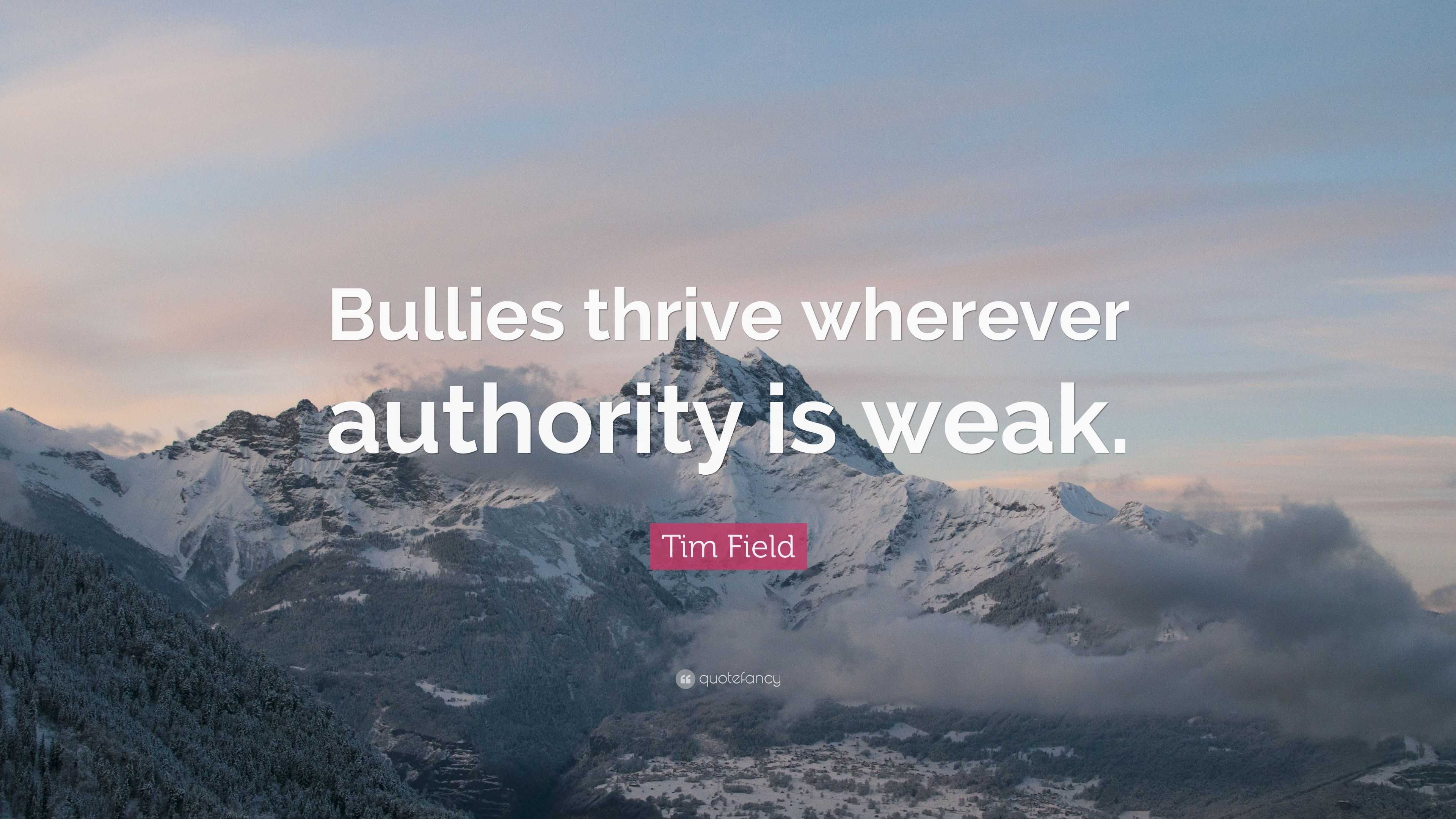 Tim Field Quote: “Bullies thrive wherever authority is weak.”