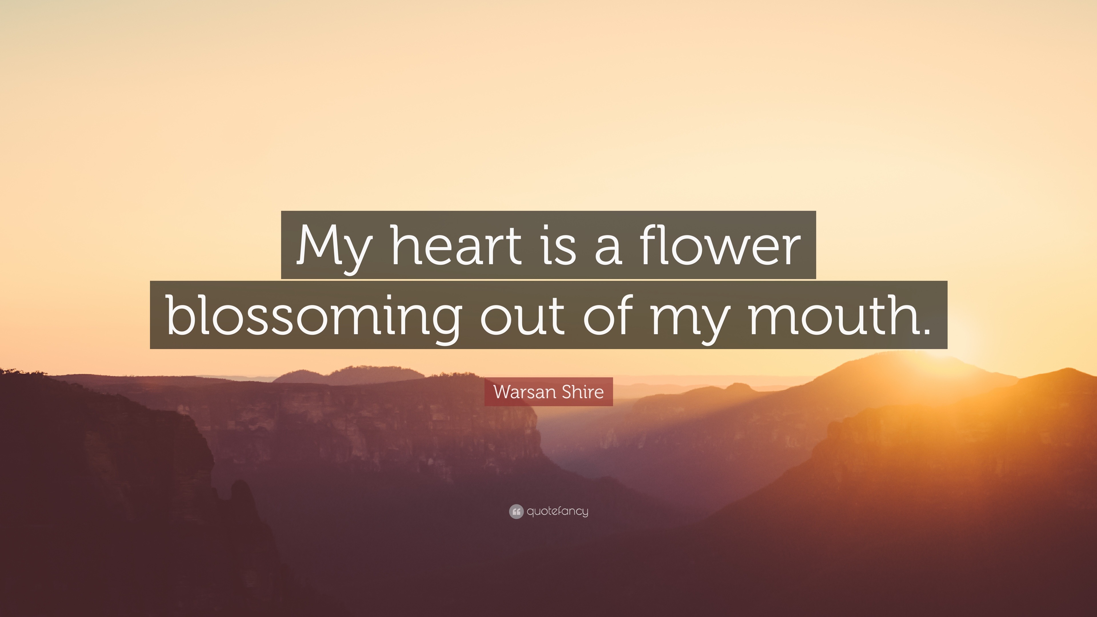 Warsan Shire Quote “My heart is a flower blossoming out of my mouth