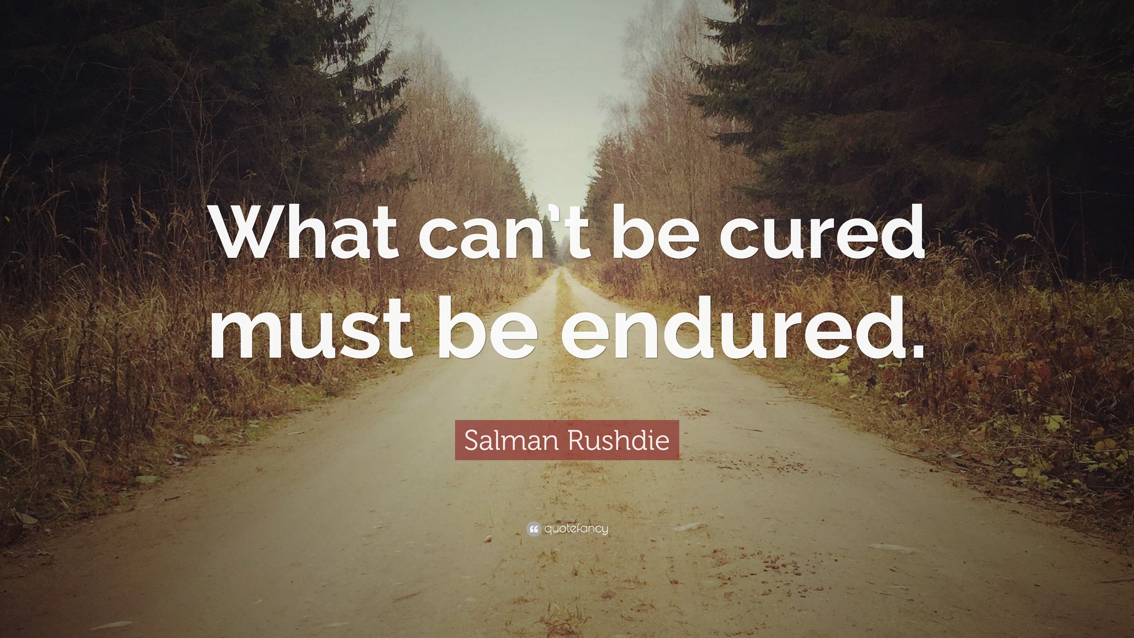 Salman Rushdie Quote “What can’t be cured must be endured.”
