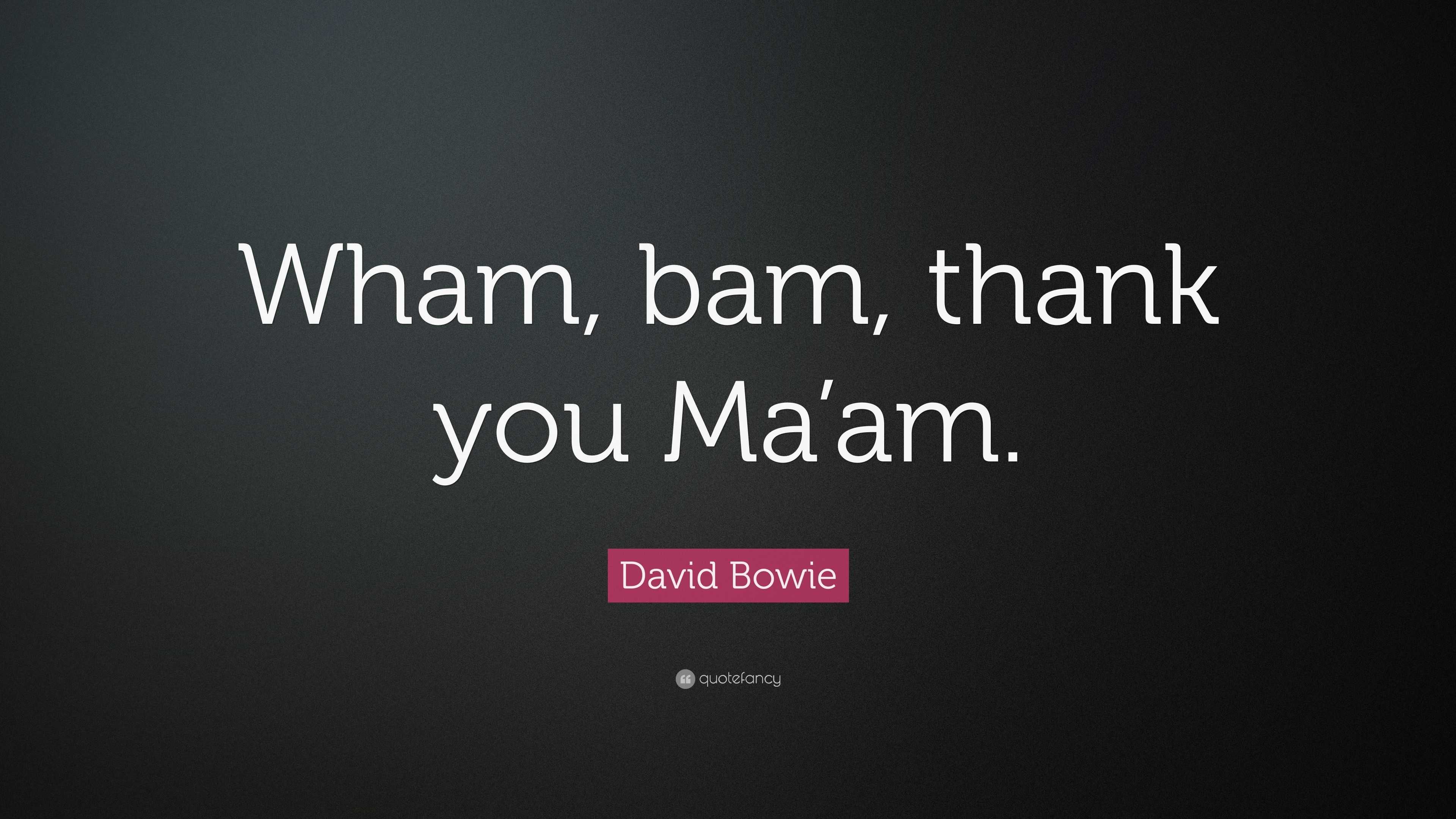 David Bowie Quote “wham Bam Thank You Maam” 5323