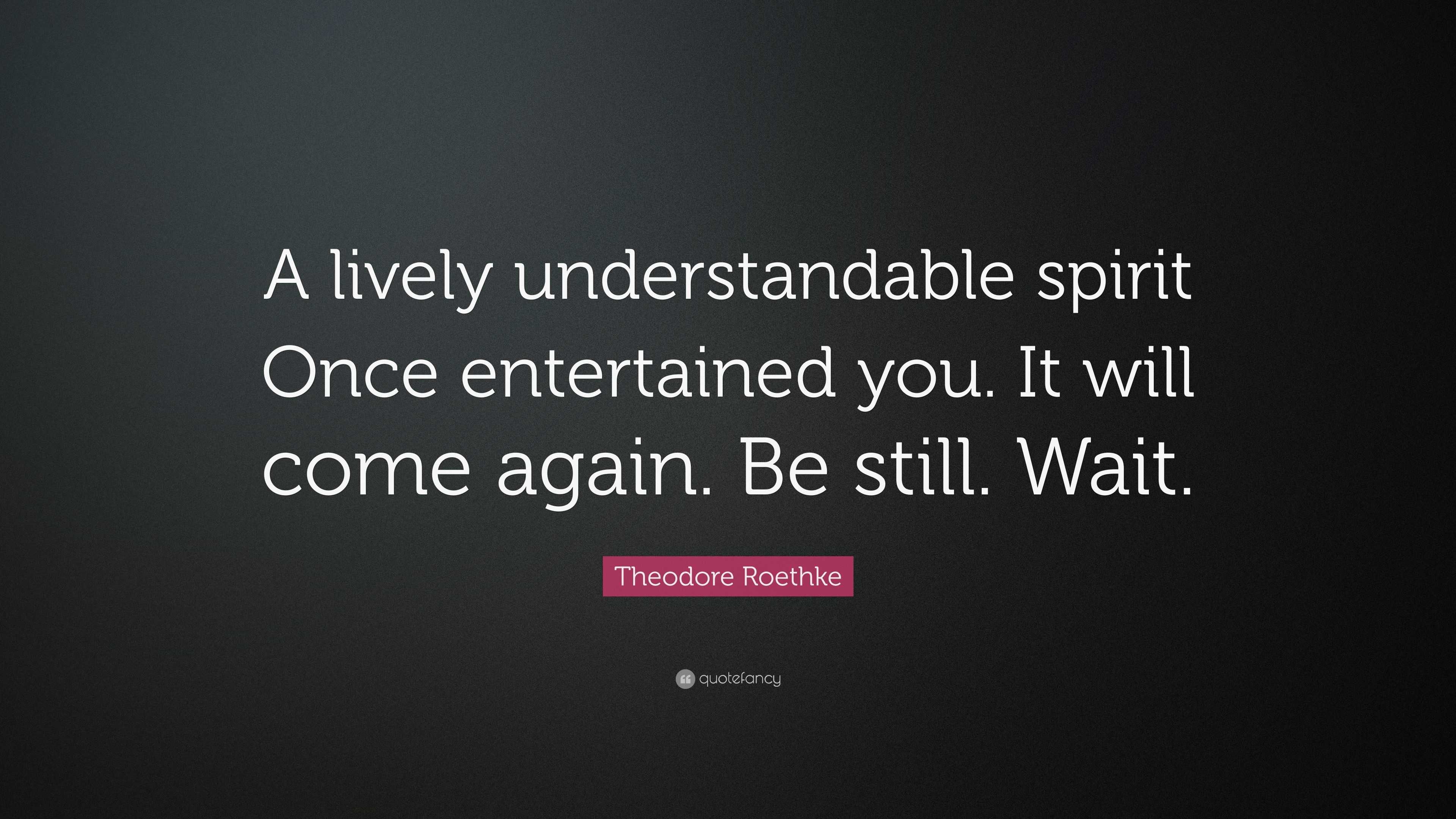 Theodore Roethke Quote: “A lively understandable spirit Once ...