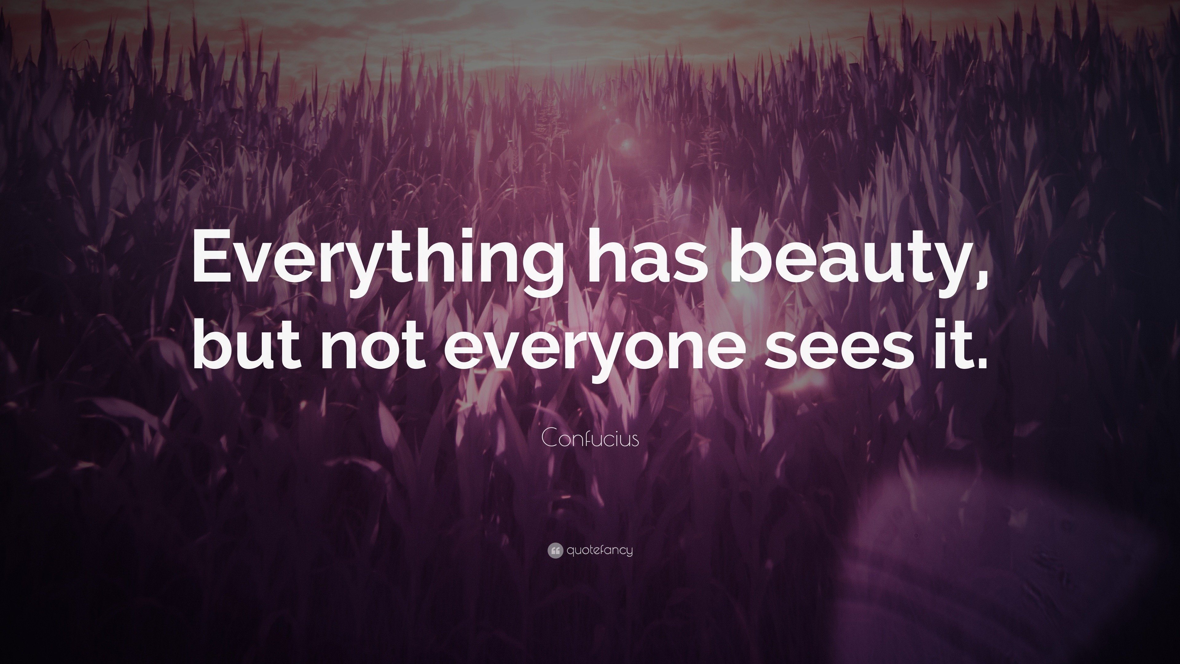 Confucius Quote: “Everything has beauty, but not everyone sees it.”, image size:3840x2160
