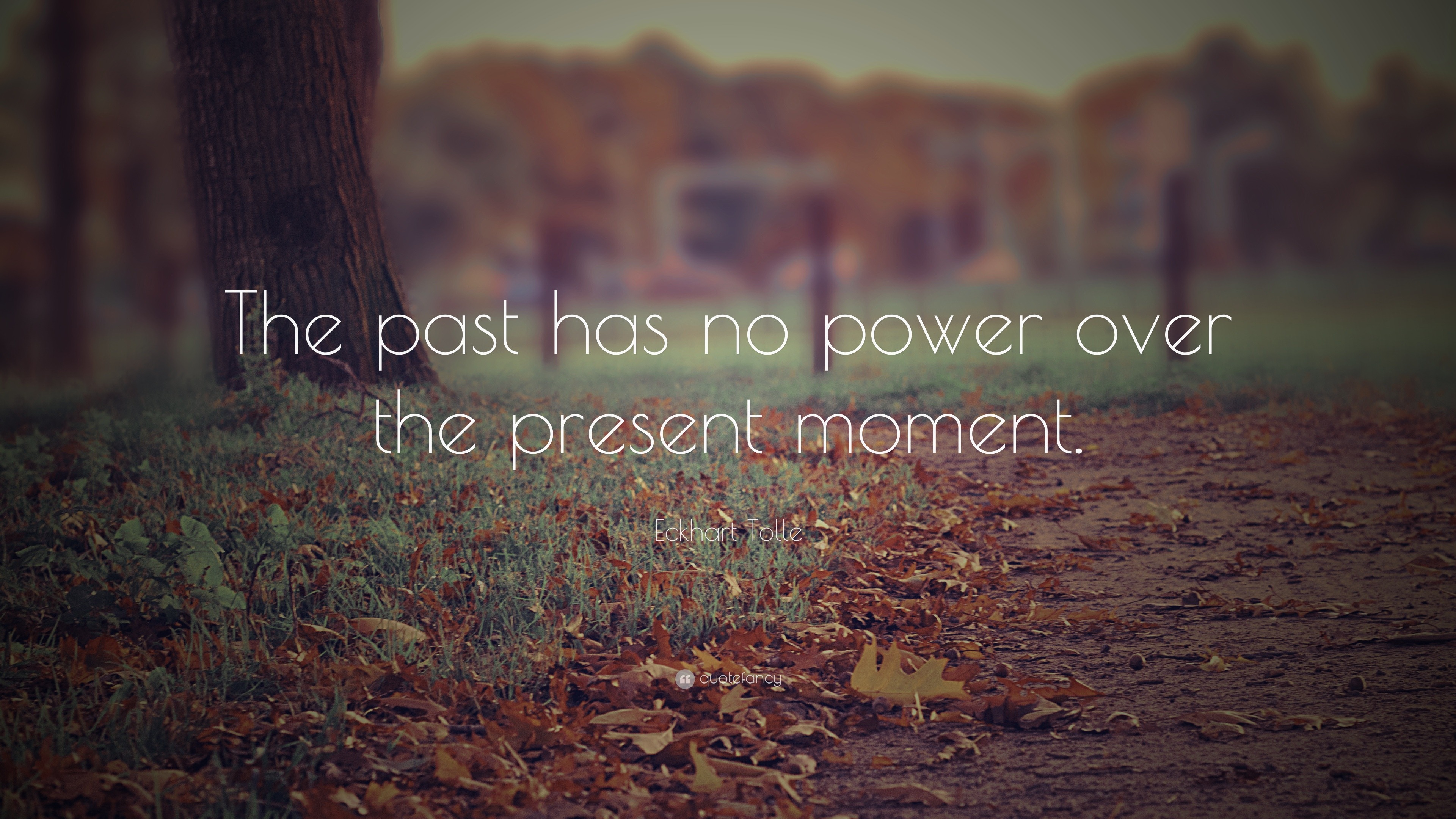 Positive Quotes “The past has no power over the present moment ” —