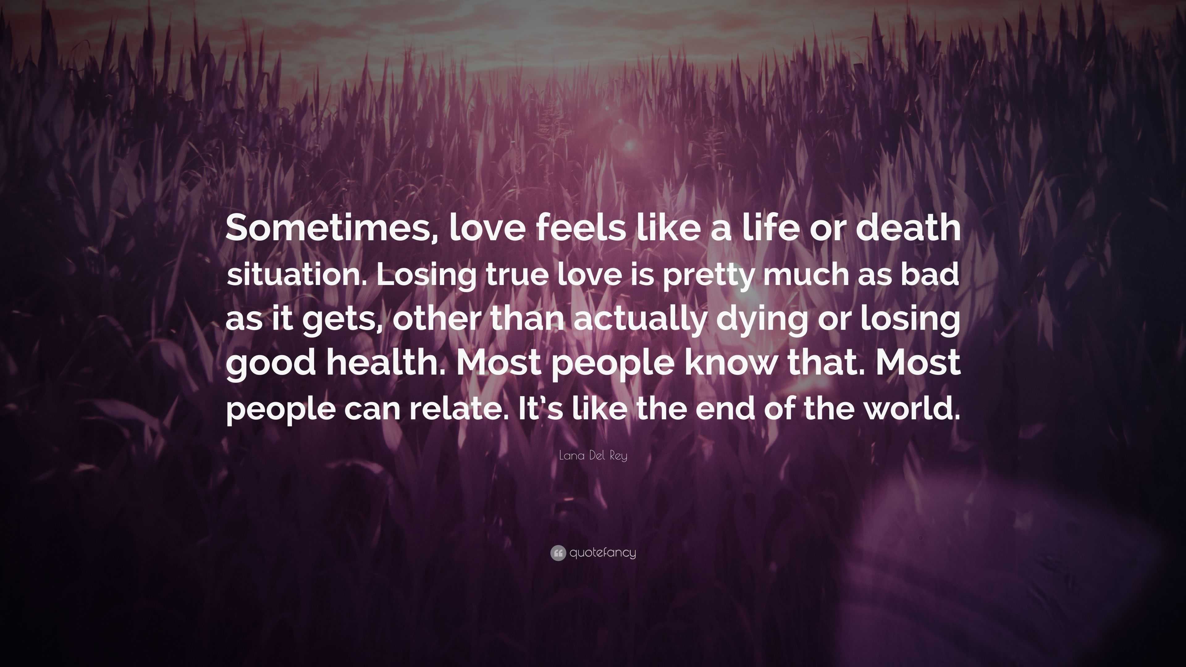 Lana Del Rey Quote “Sometimes love feels like a life or situation