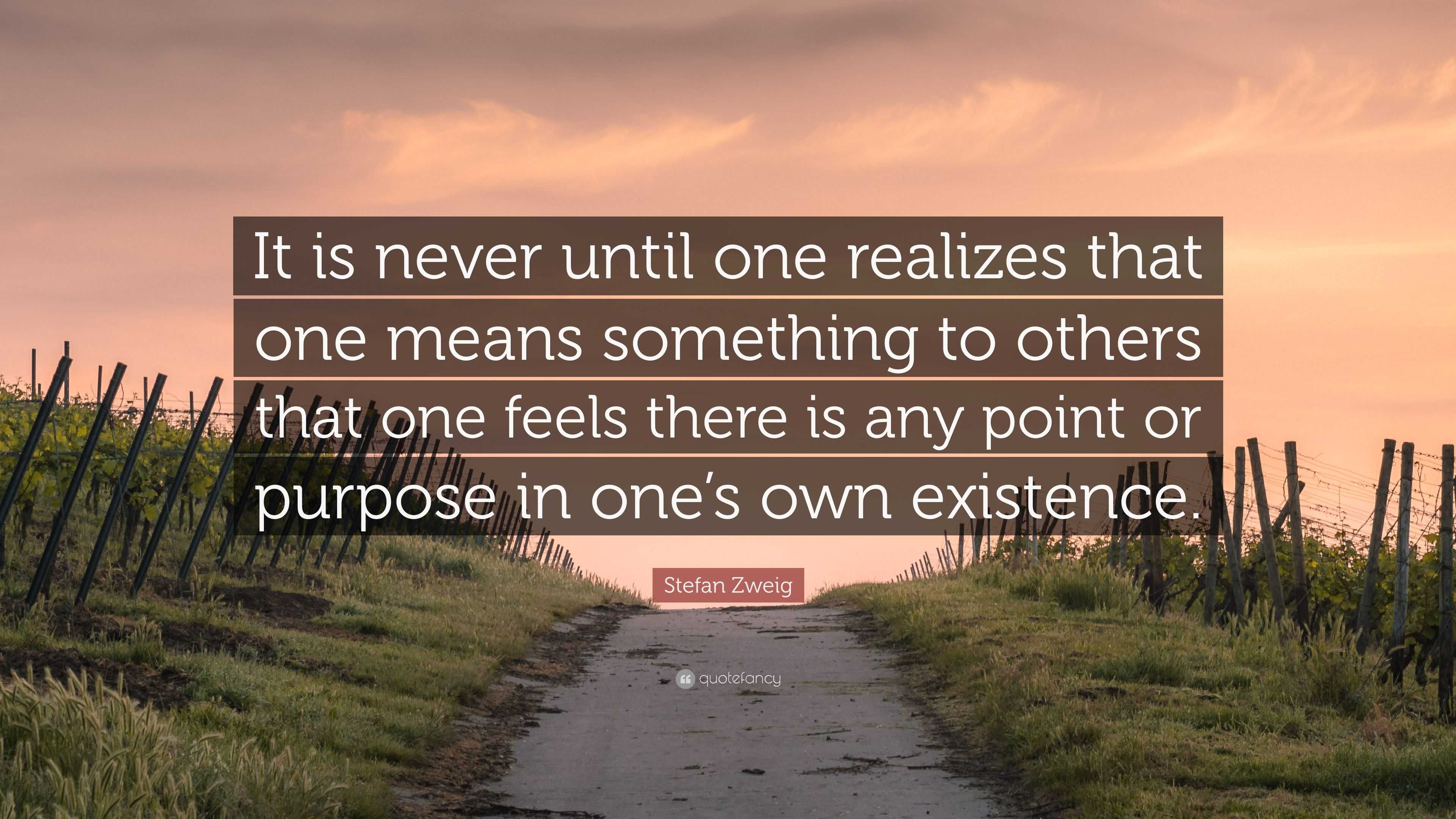 Stefan Zweig Quote: “It is never until one realizes that one means ...