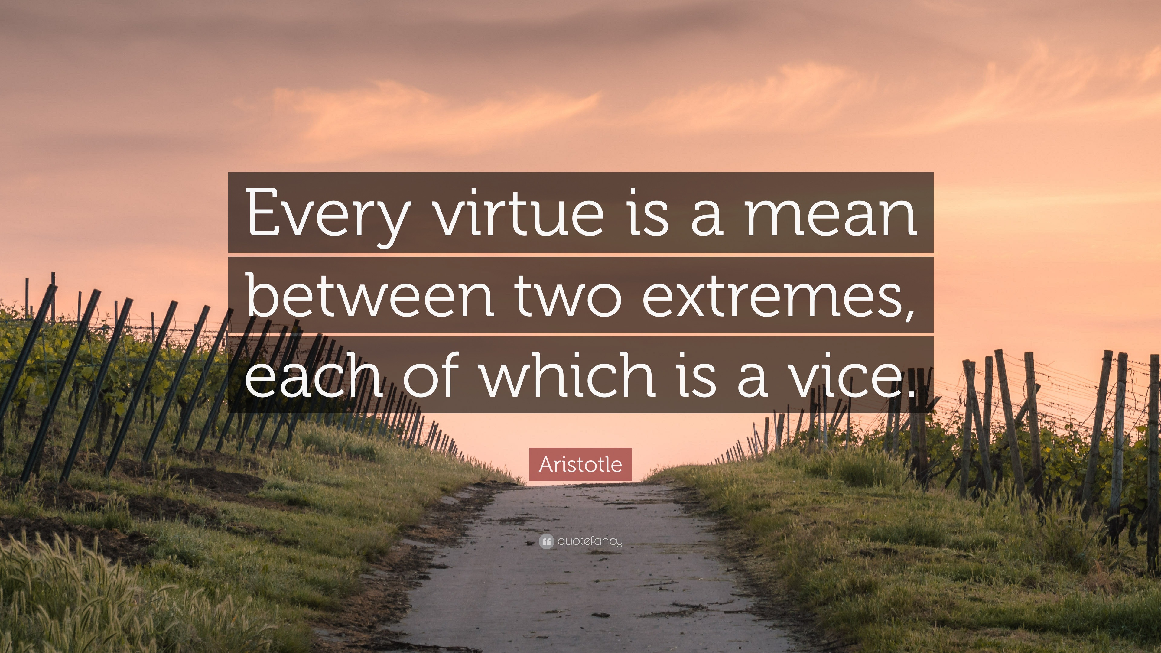 Aristotle Quote “Every virtue is a mean between two extremes, each of