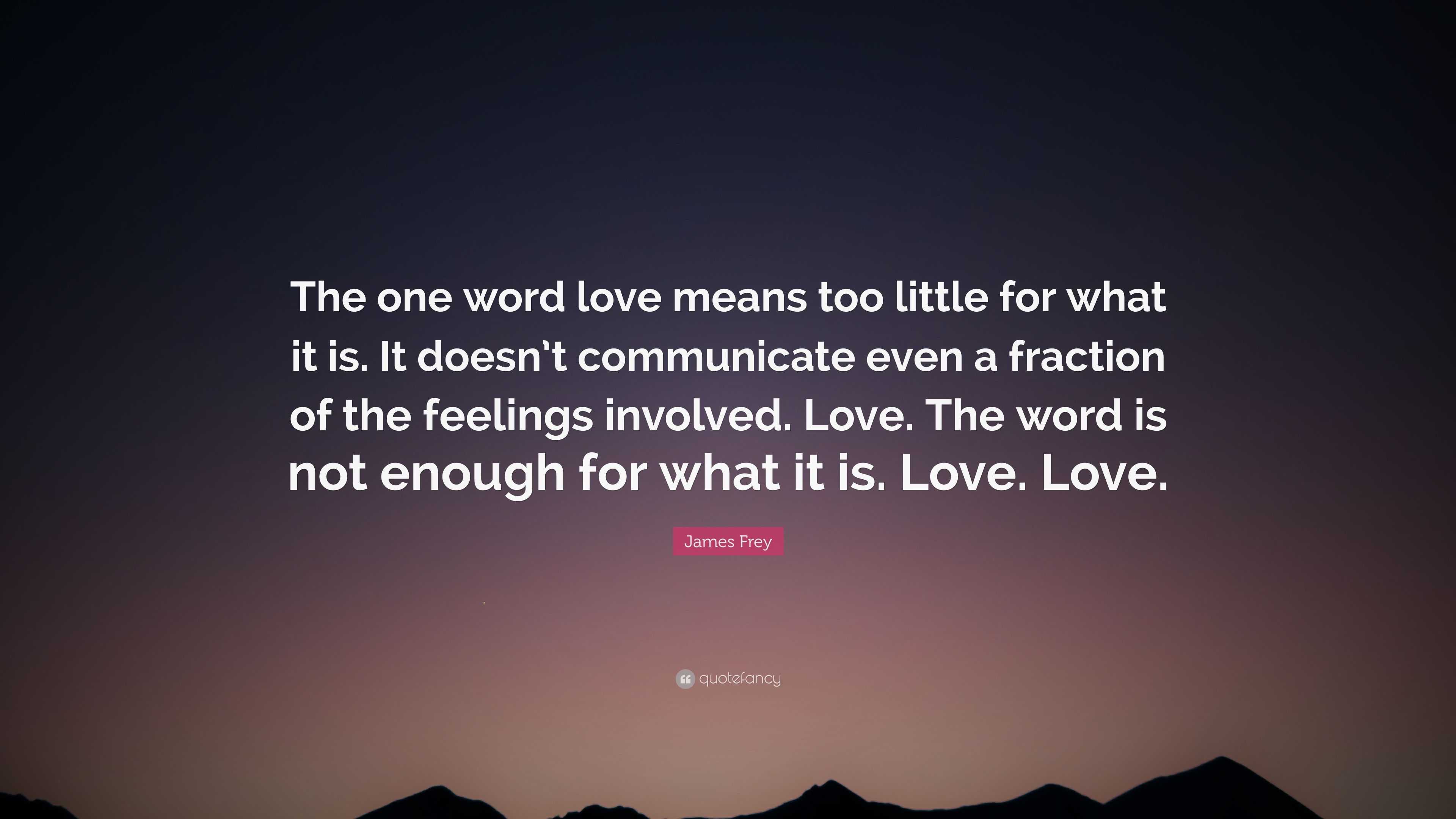 James Frey Quote “The one word love means too little for what it is