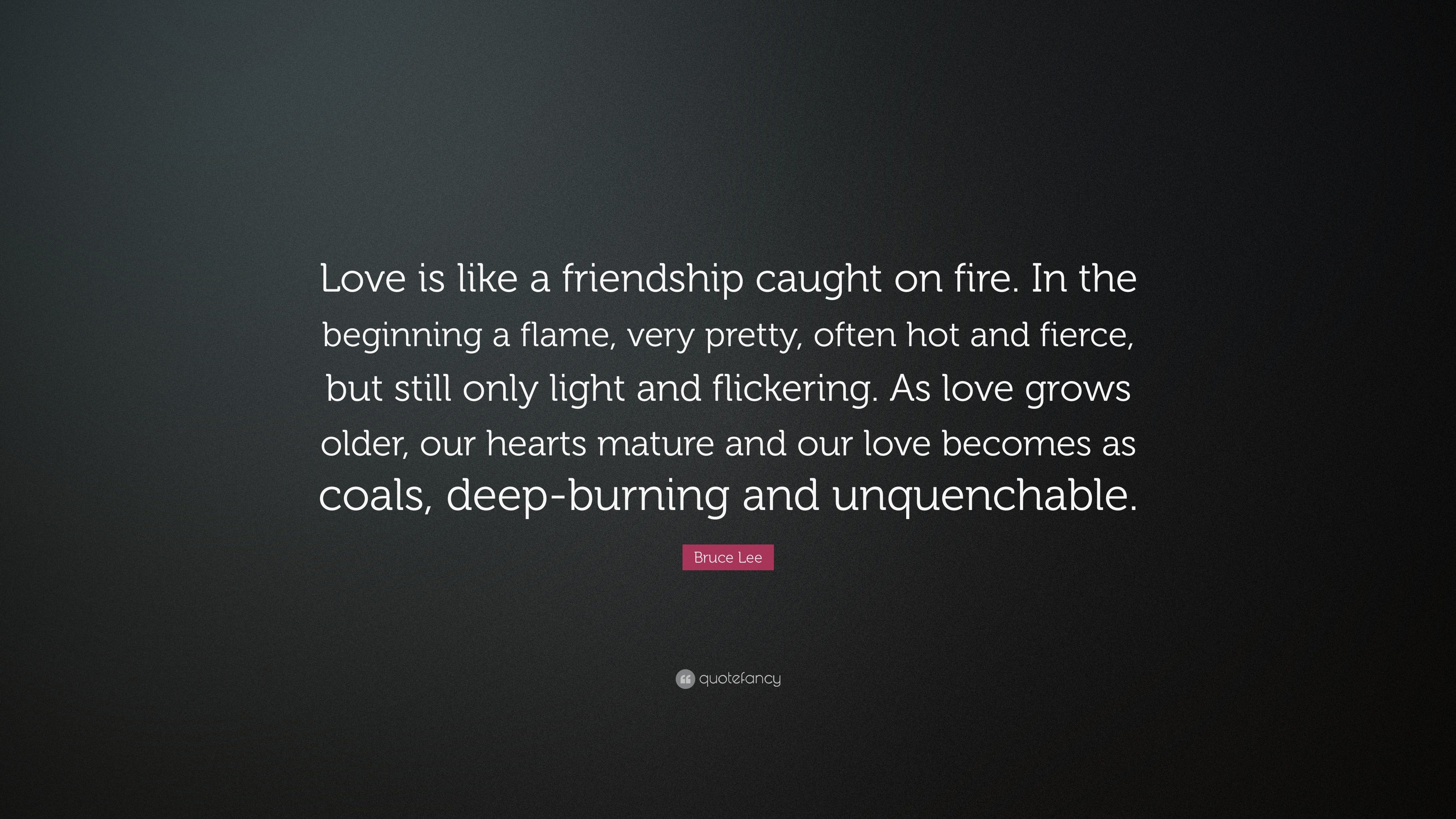 Bruce Lee Quote “Love is like a friendship caught on fire In the