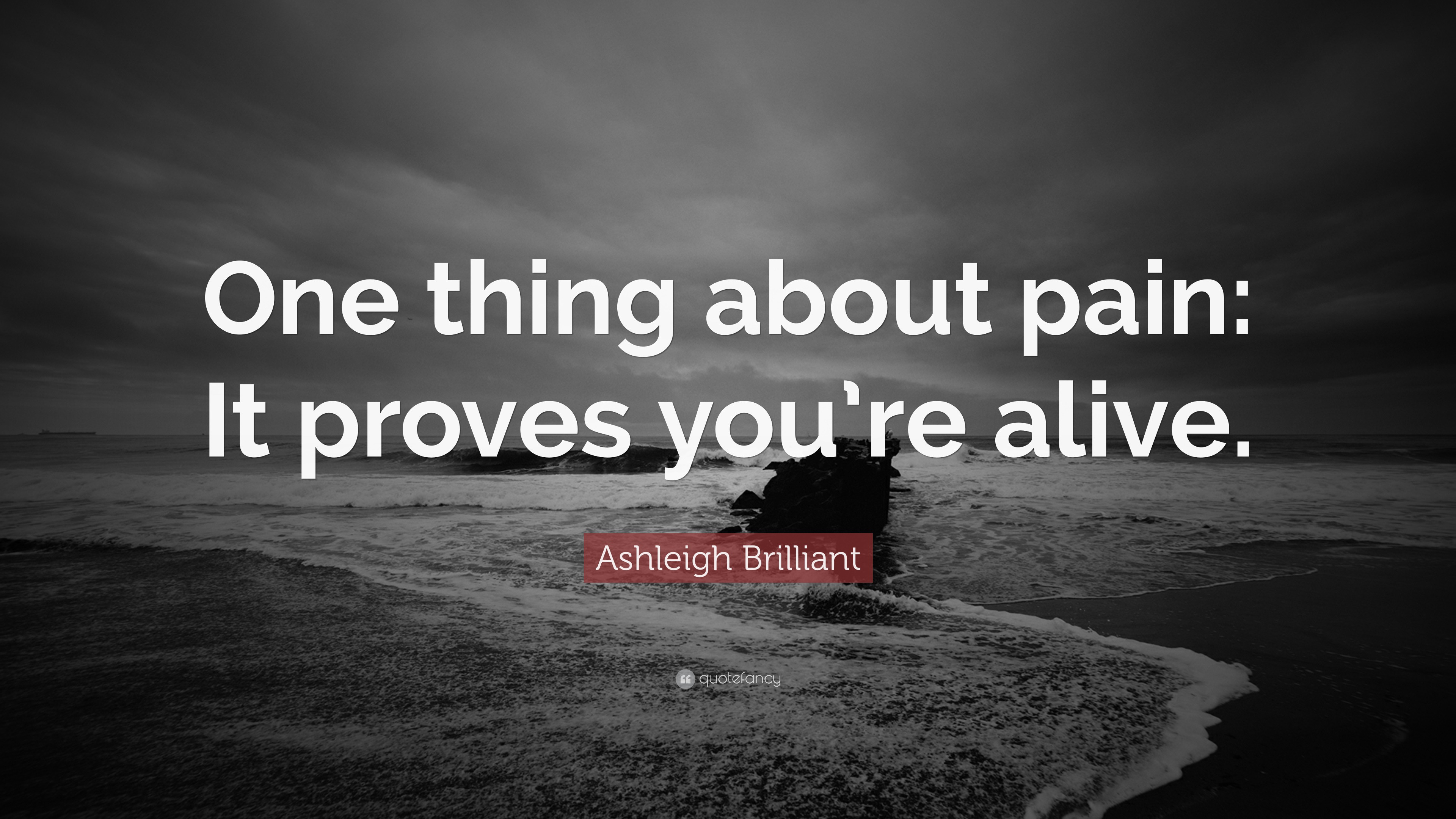 Ashleigh Brilliant Quotes (100 Wallpapers) - Quotefancy