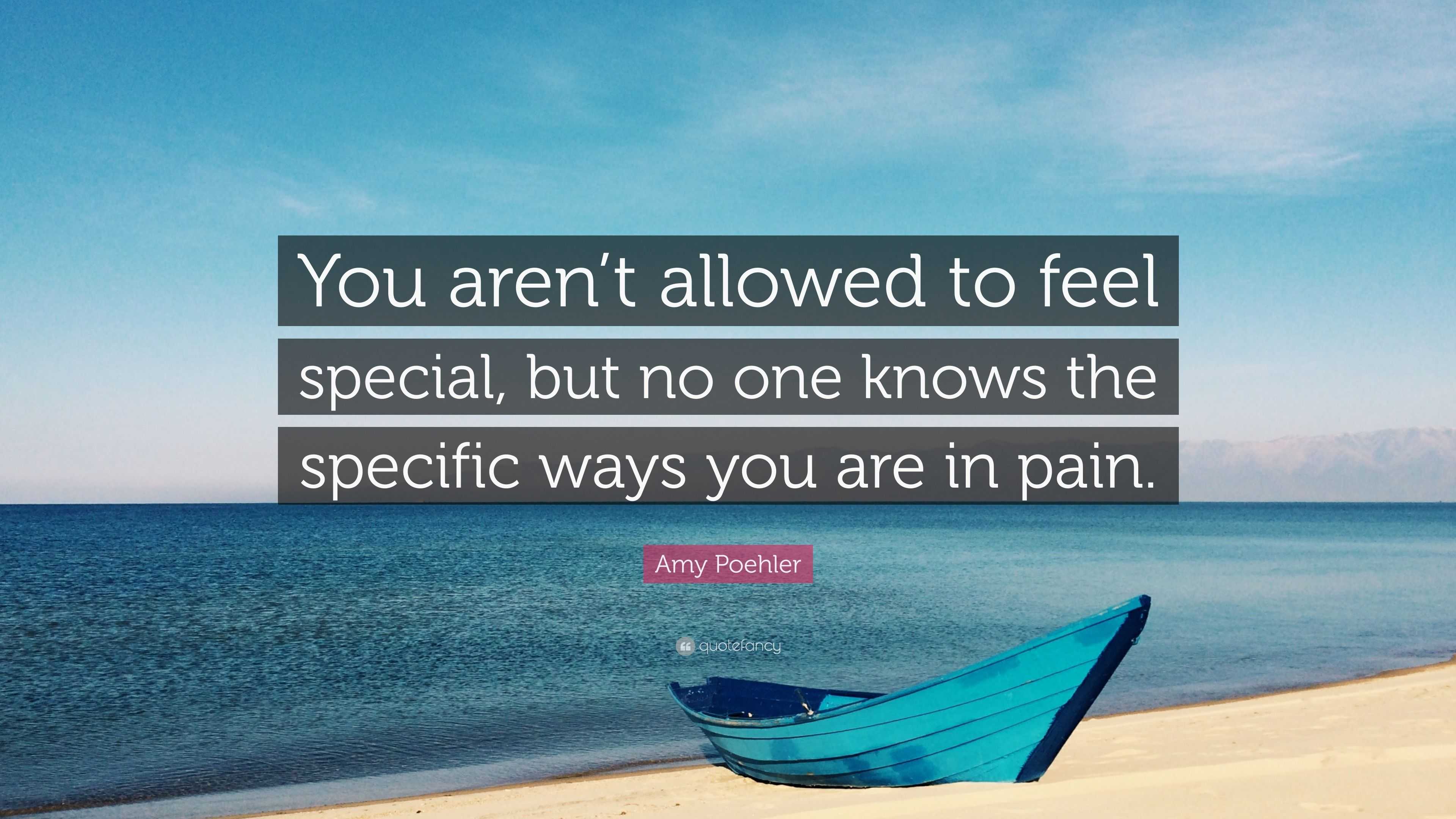 Amy Poehler Quote: “You aren’t allowed to feel special, but no one ...