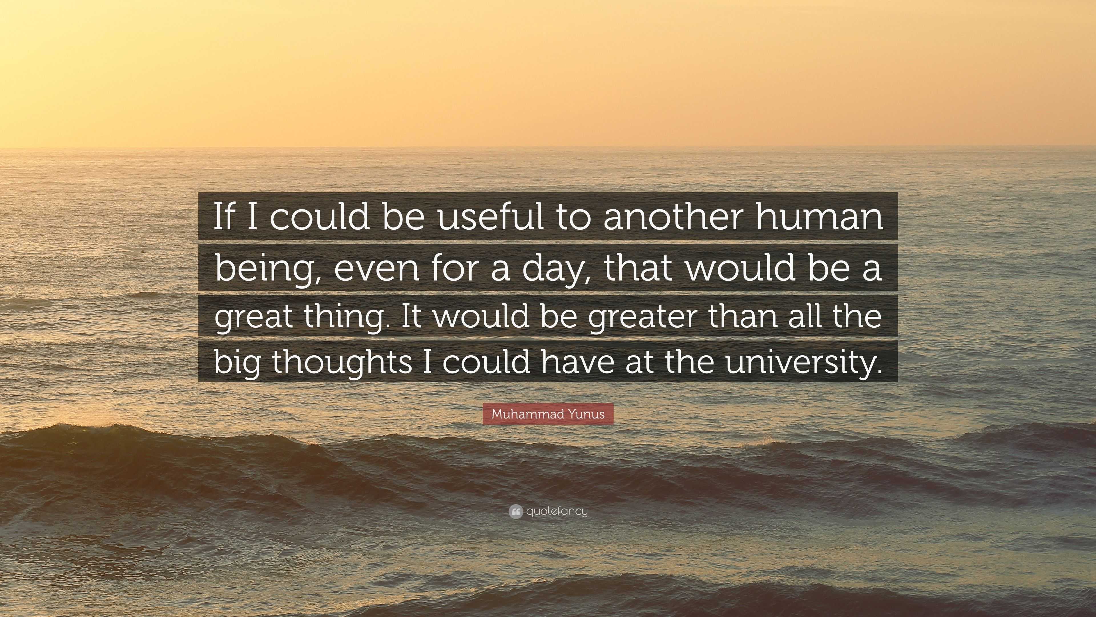 Muhammad Yunus Quote: “If I Could Be Useful To Another Human Being ...