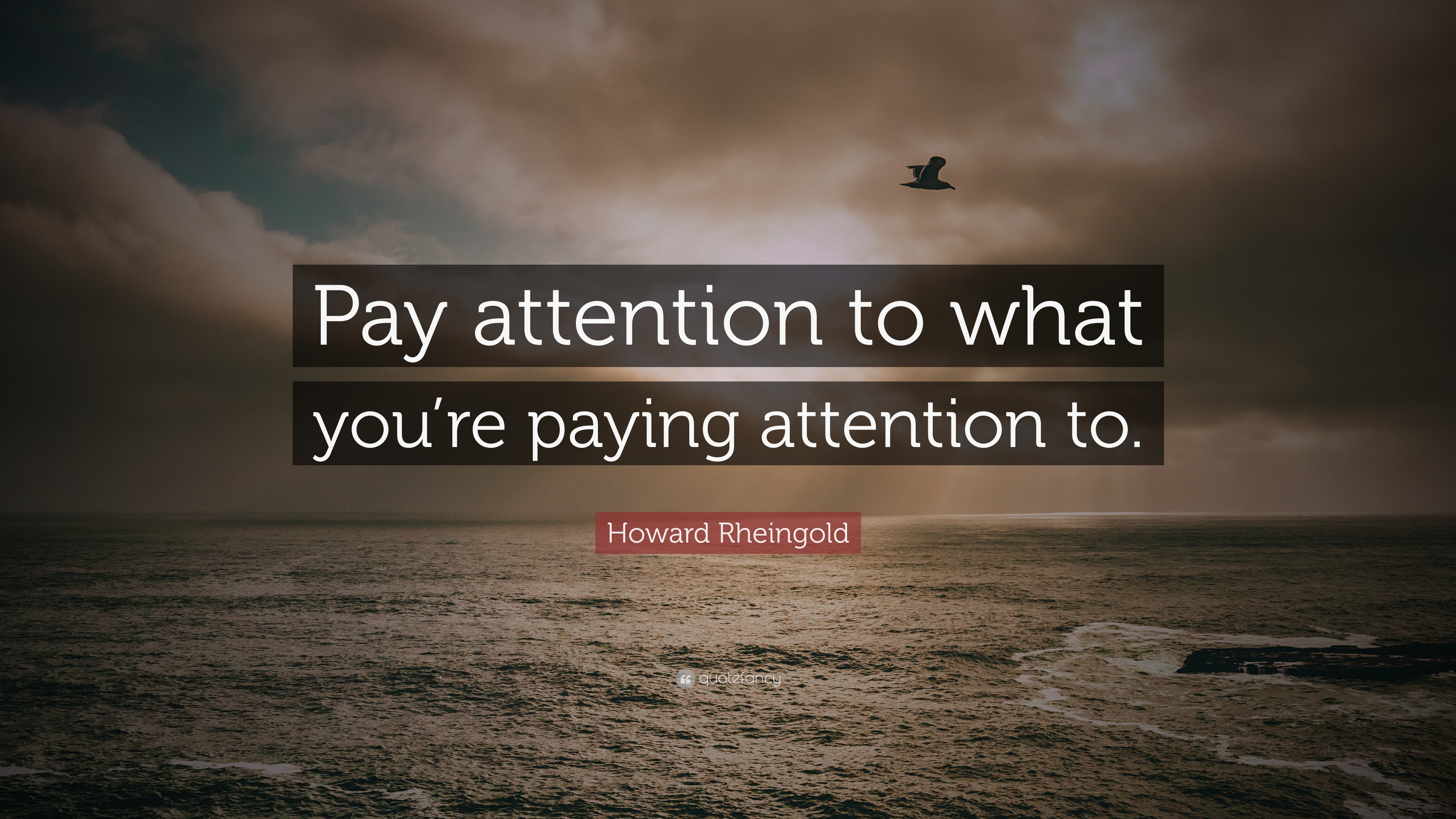 Howard Rheingold Quote: “Pay Attention To What You’re Paying Attention To.”