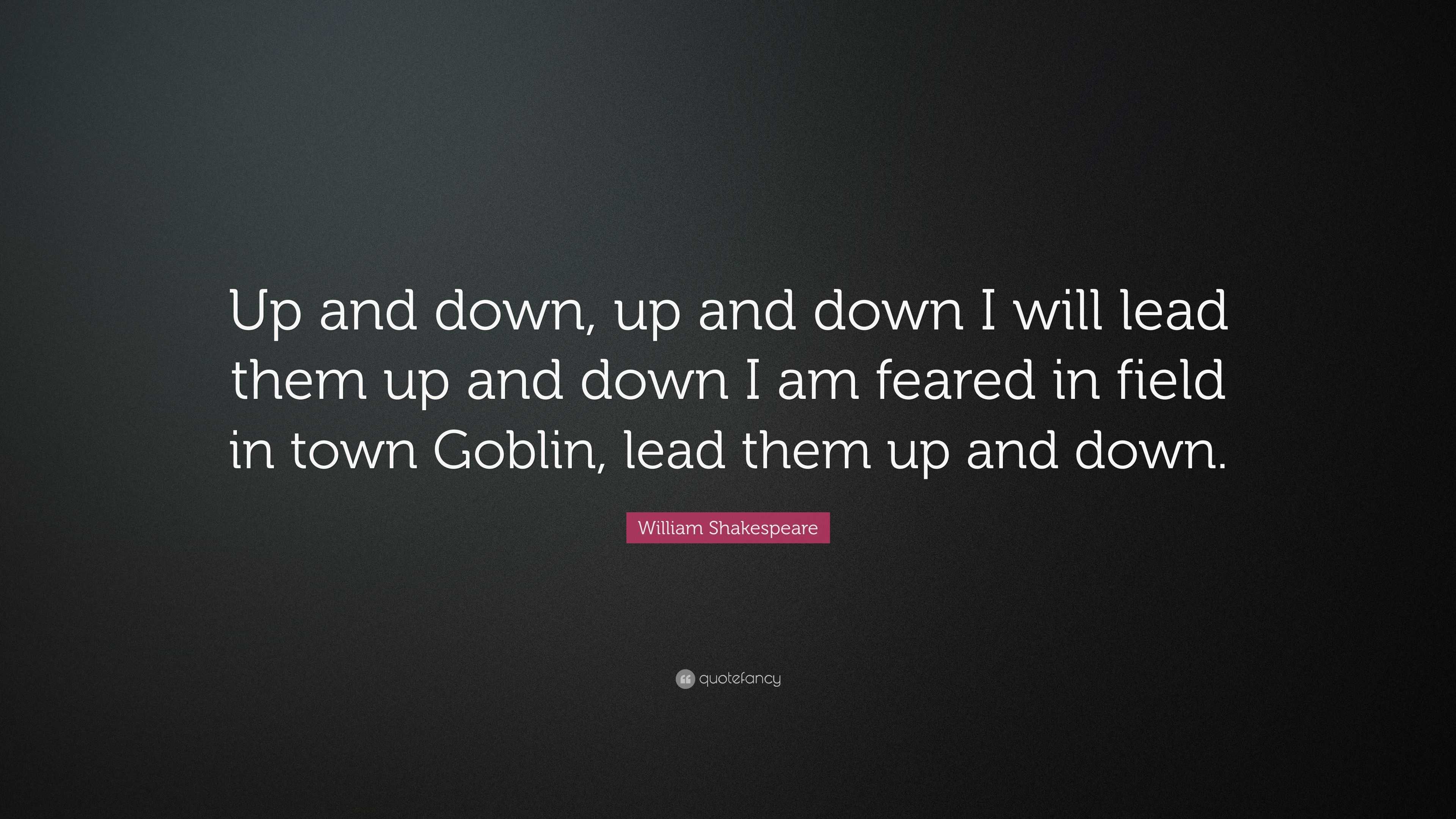 William Shakespeare Quote “Up and down, up and down I