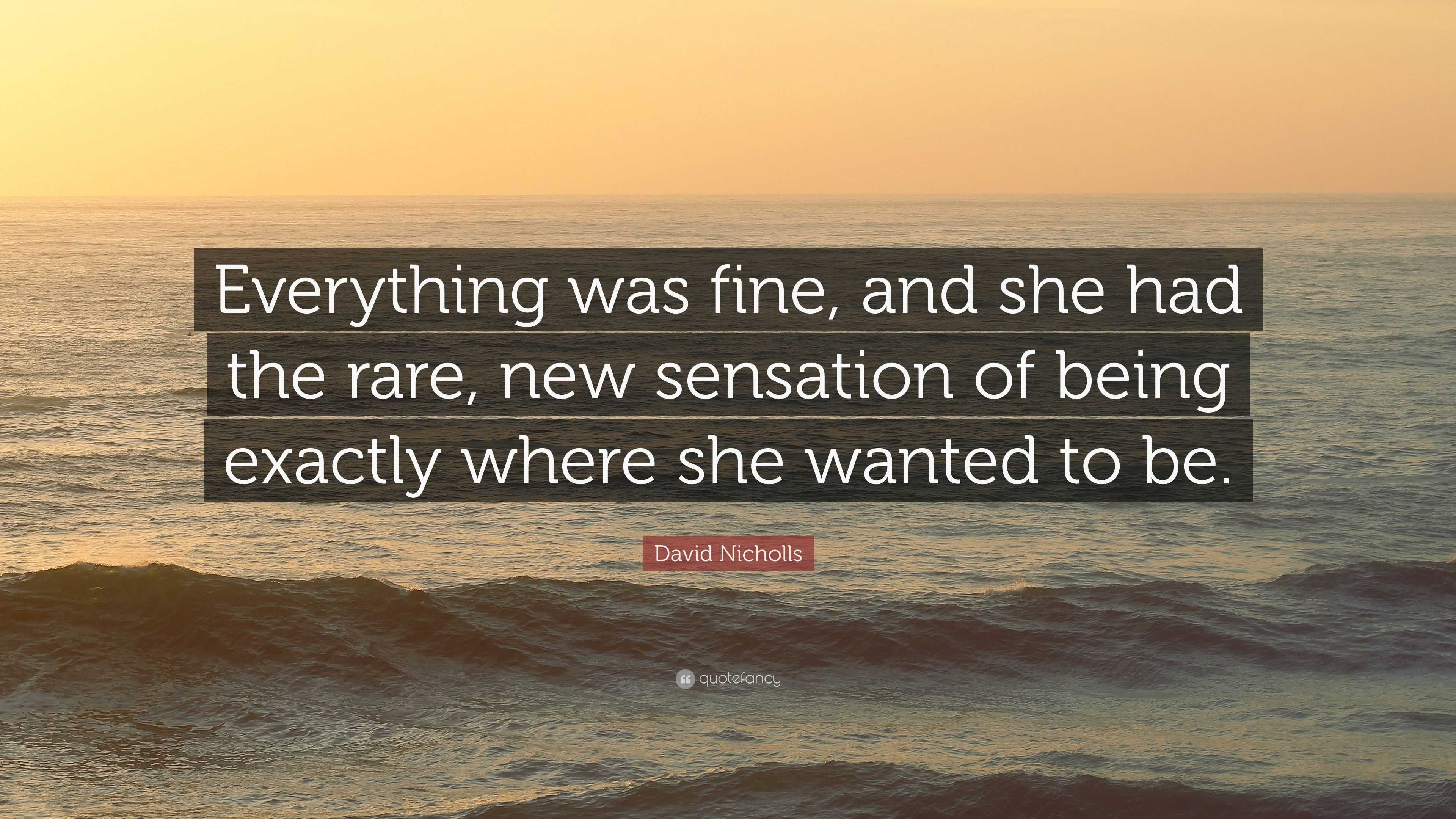 David Nicholls Quote: “Everything was fine, and she had the rare, new ...