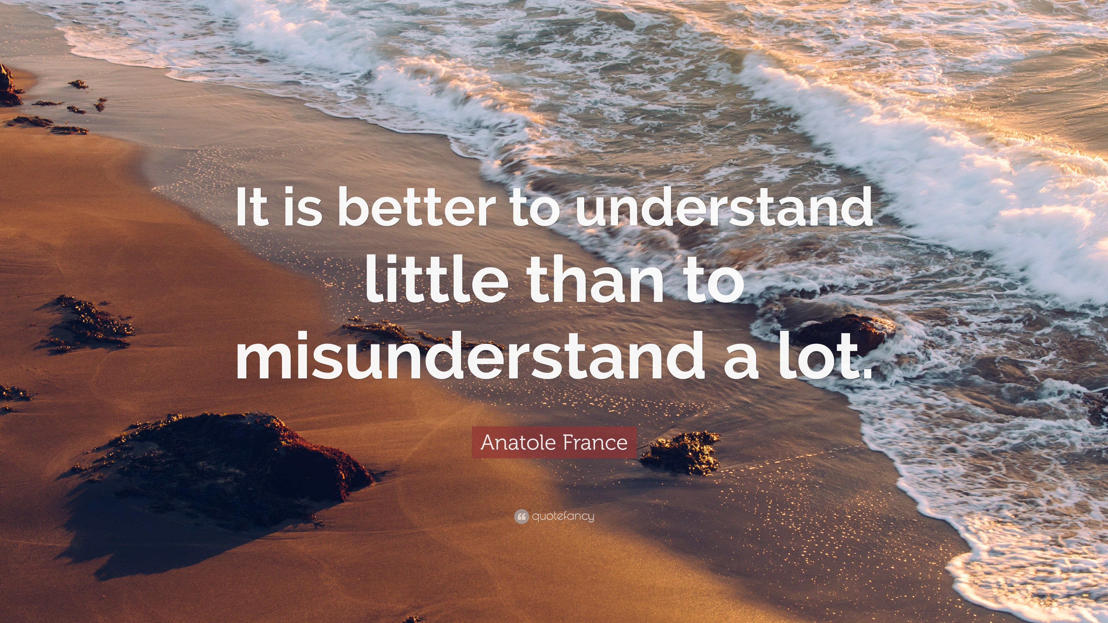 Anatole France Quote: “It is better to understand little than to ...