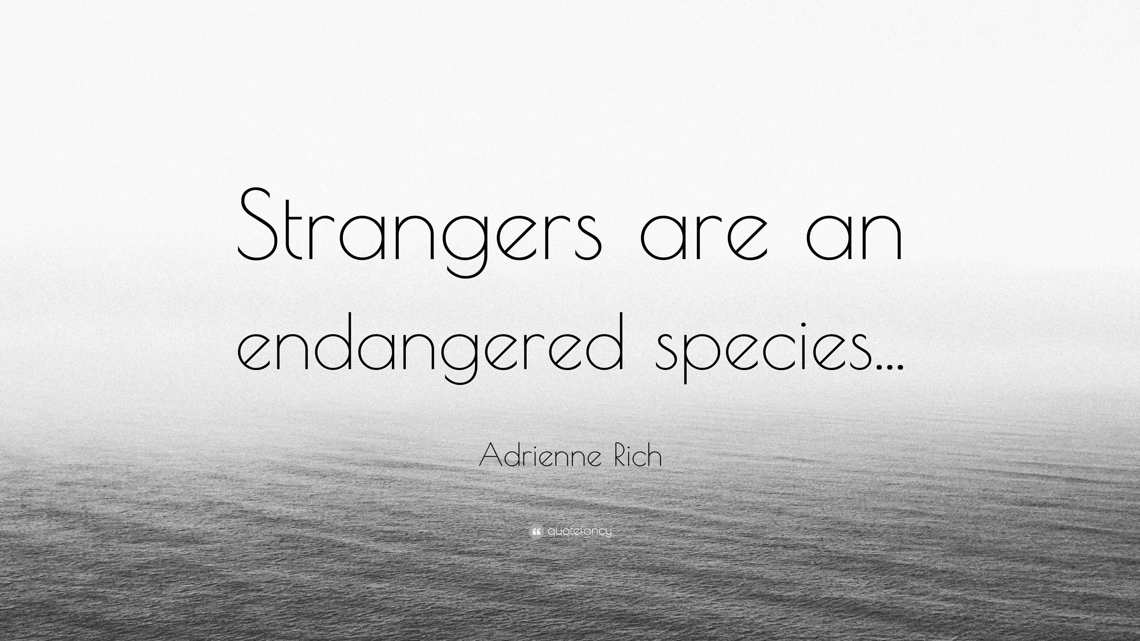 Adrienne Rich Quote Strangers Are An Endangered Species