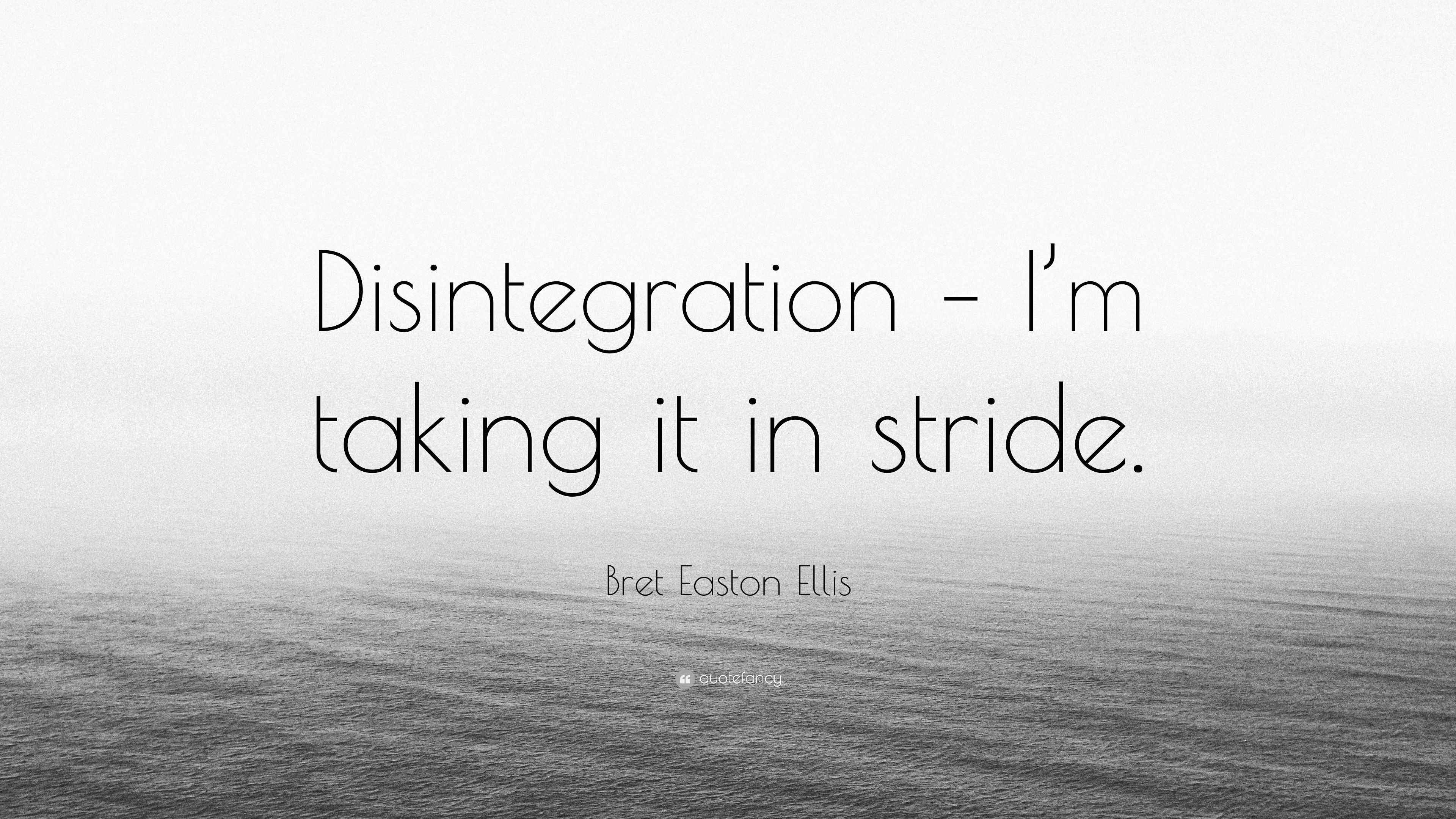 Bret Easton Ellis Quote: "Disintegration - I'm taking it in stride."