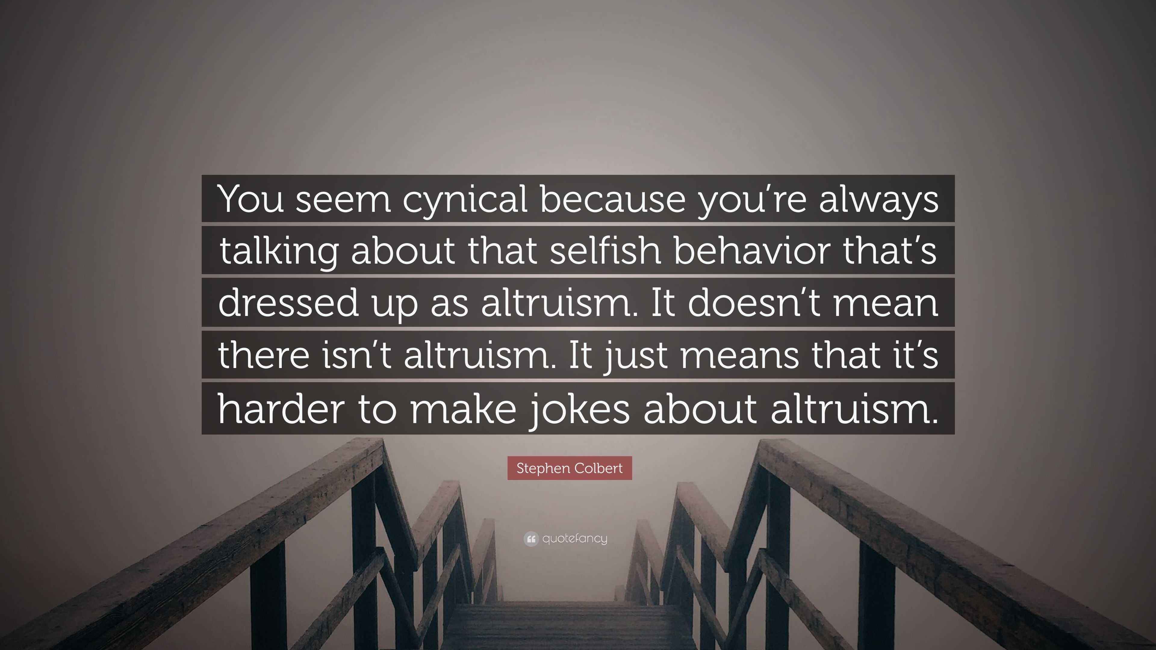 Stephen Colbert Quote: “You seem cynical because you’re always talking ...