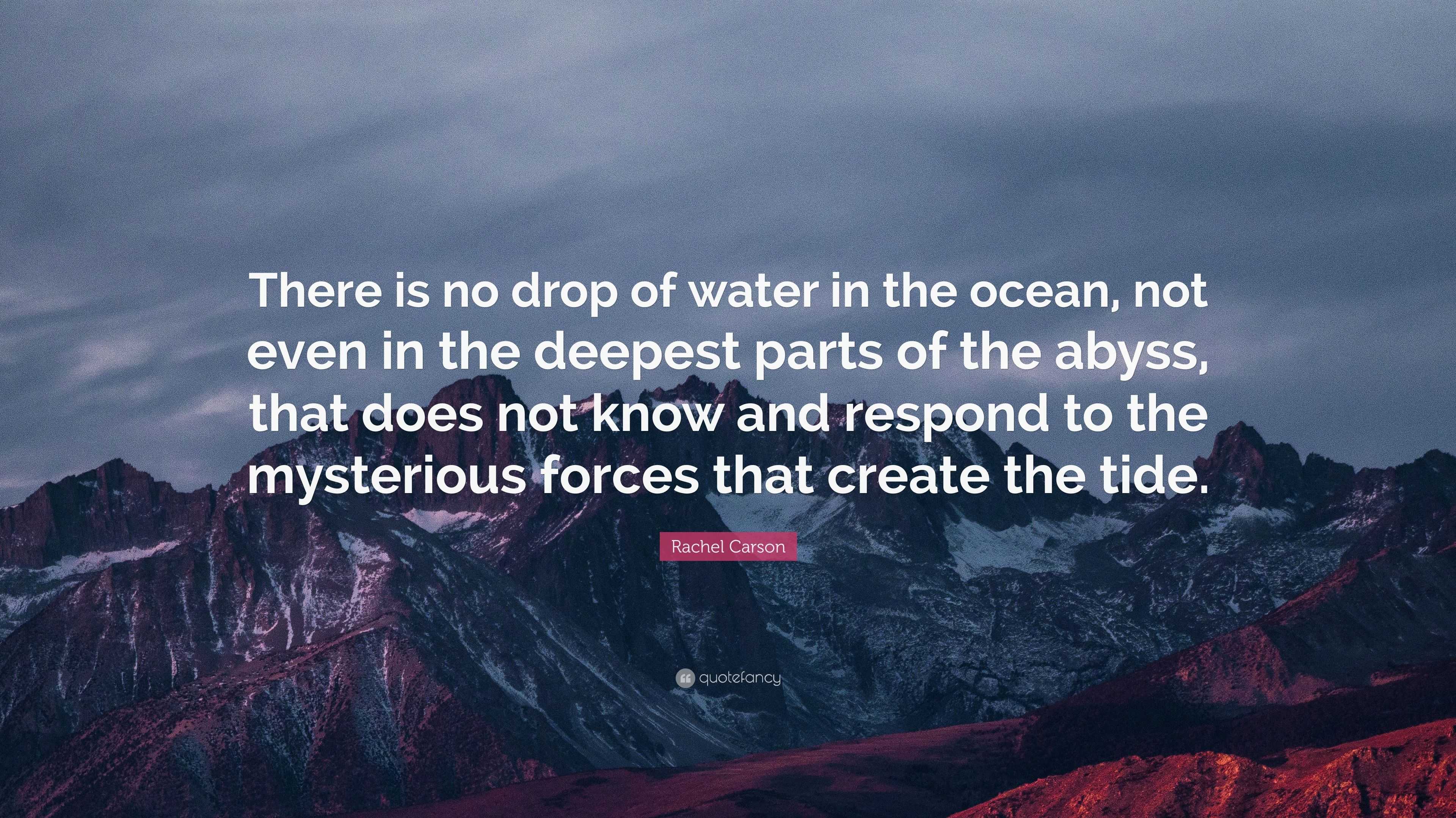 Rachel Carson Quote: “There is no drop of water in the ocean, not even ...