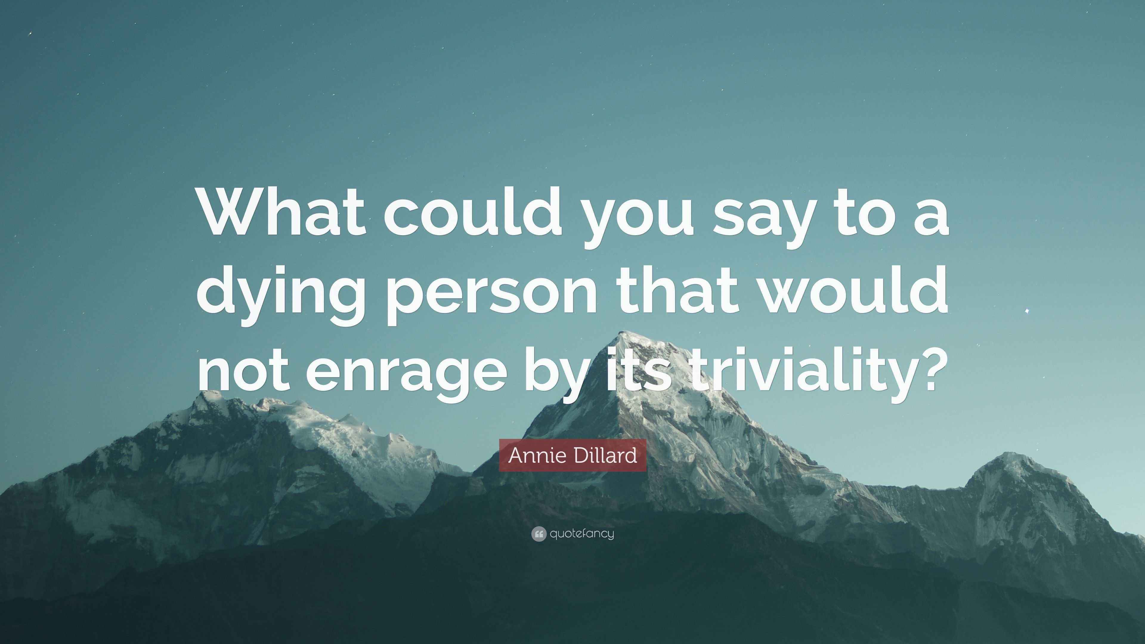 Annie Dillard Quote “What could you say to a dying person that would
