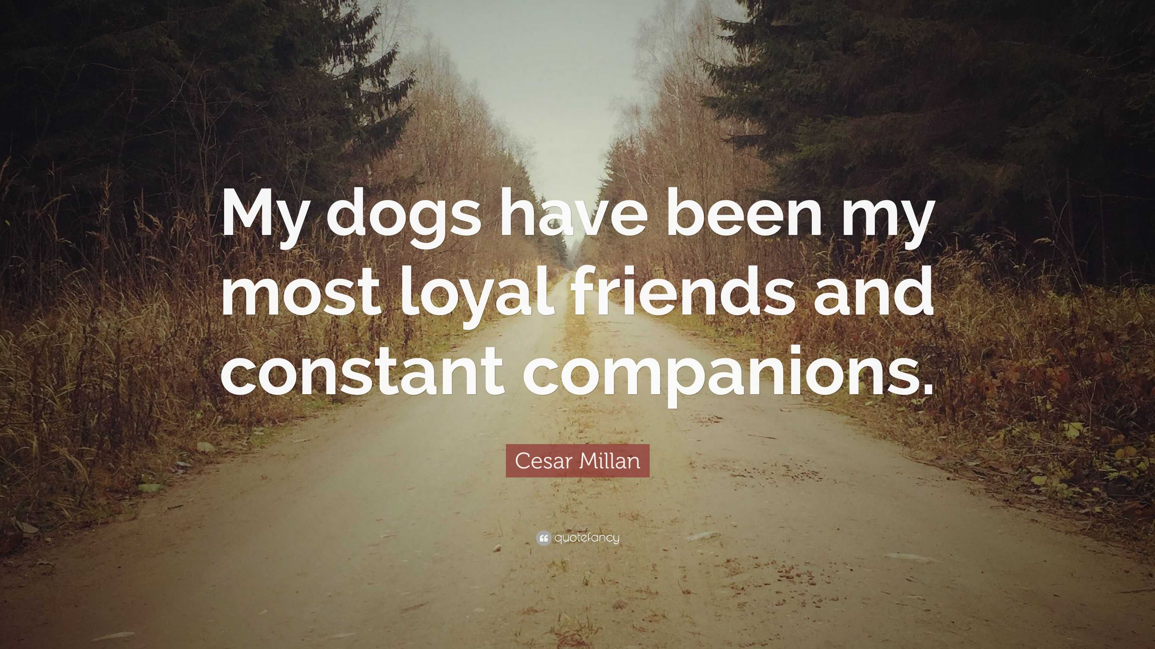 Cesar Millan Quote: “My dogs have been my most loyal friends and ...