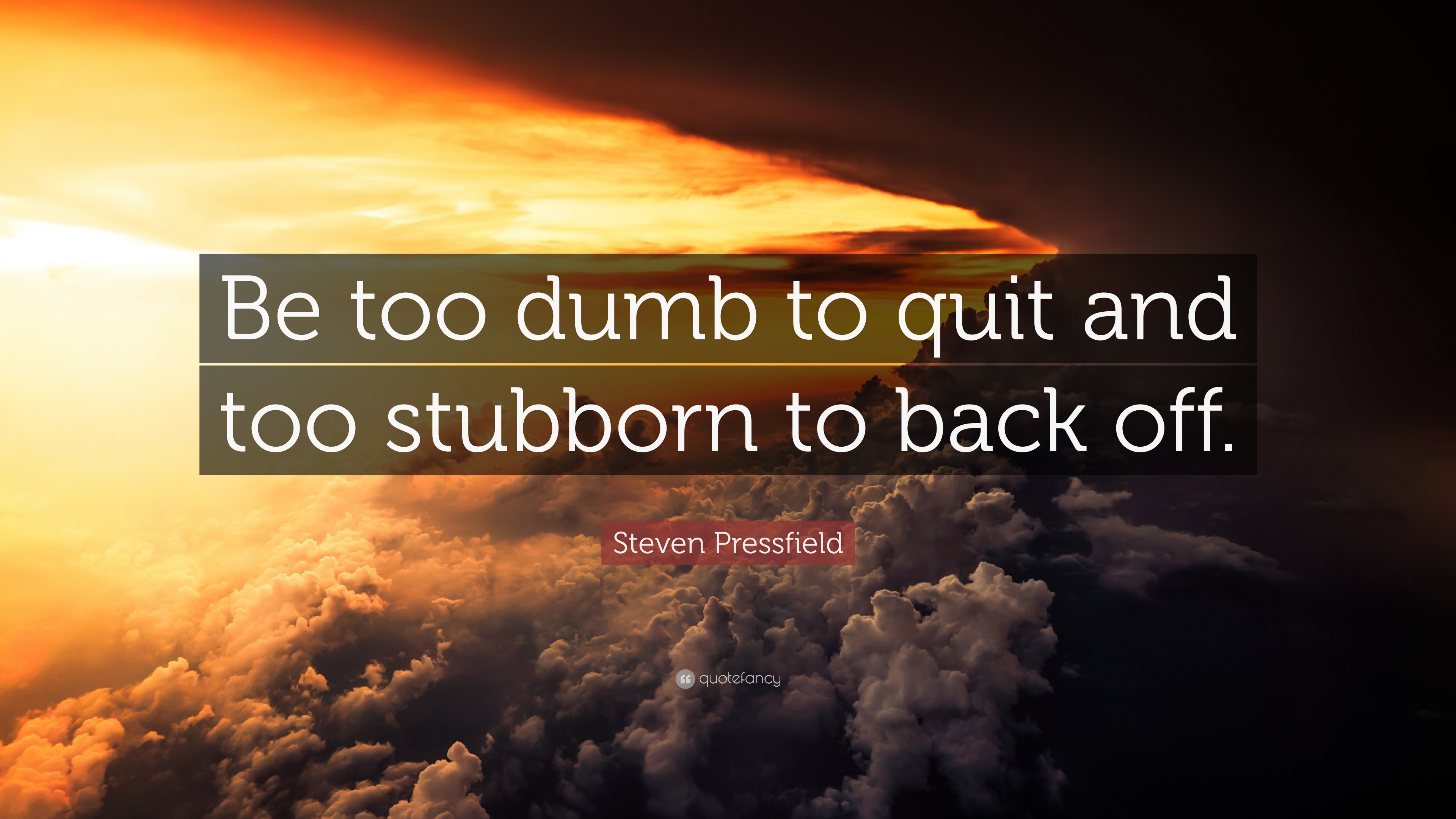 Steven Pressfield Quote: “be Too Dumb To Quit And Too Stubborn To Back 