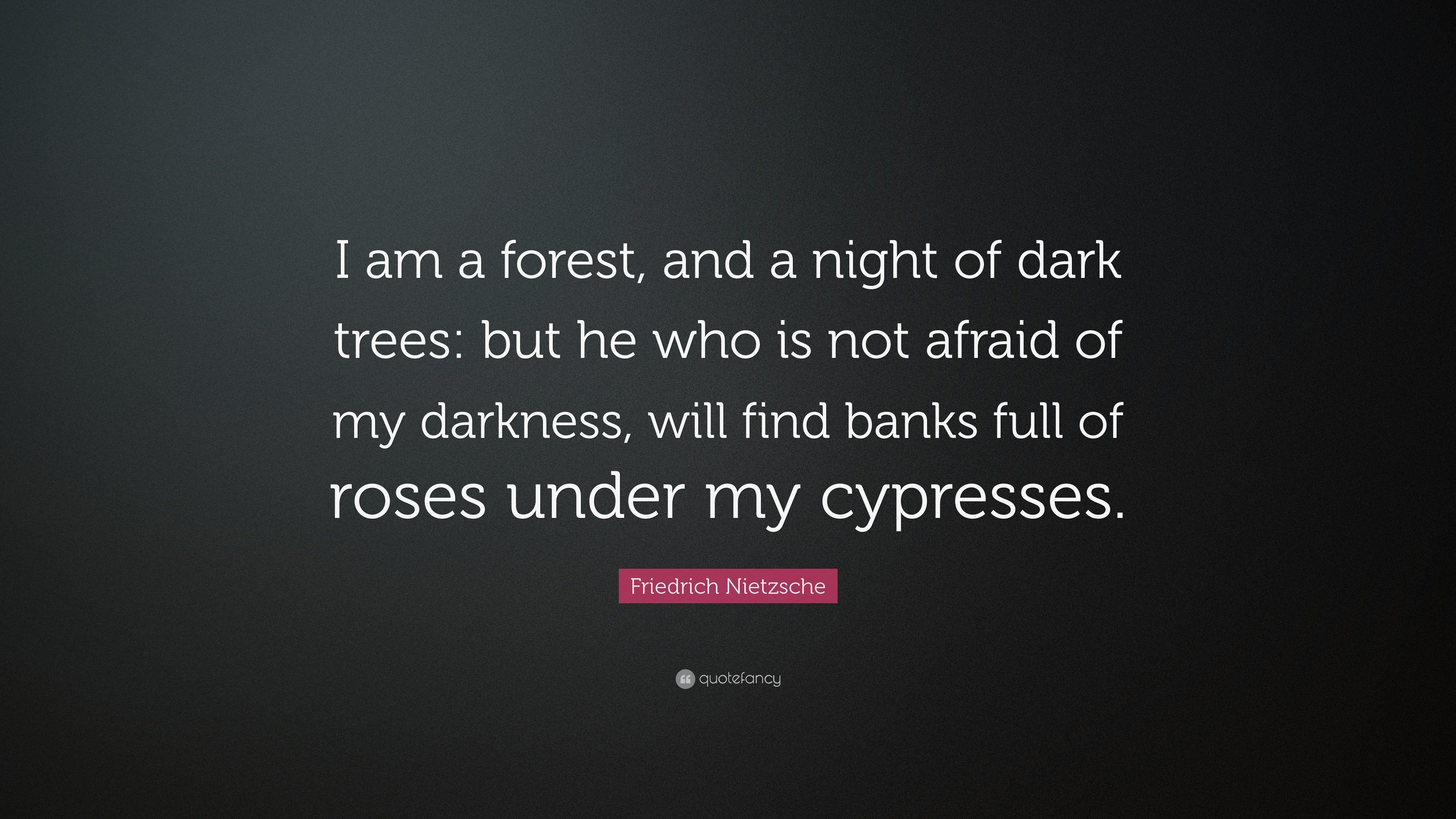 black of meaning night a a Nietzsche Friedrich of trees â€œI night and am Quote: dark forest,