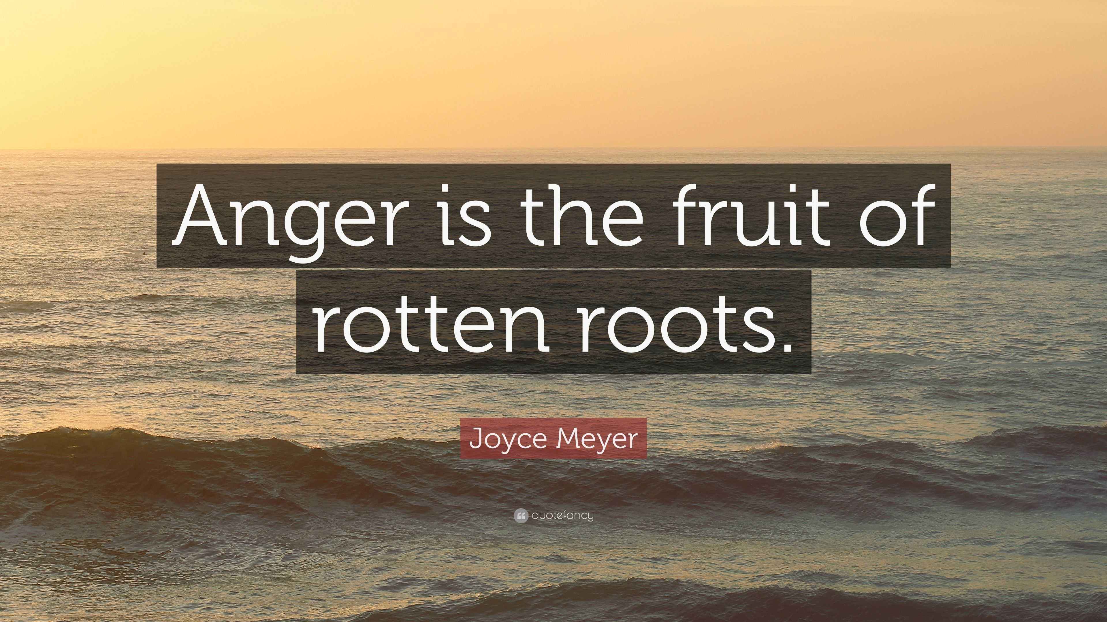 Joyce Meyer Quote “Anger is the fruit of rotten roots.”
